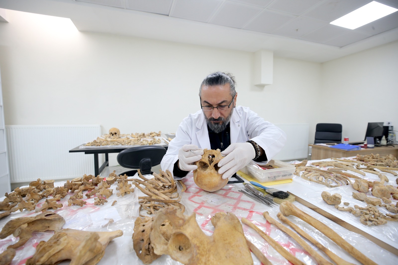 Whatsapp Image 2025 11 07 At 14.47.44 (1)