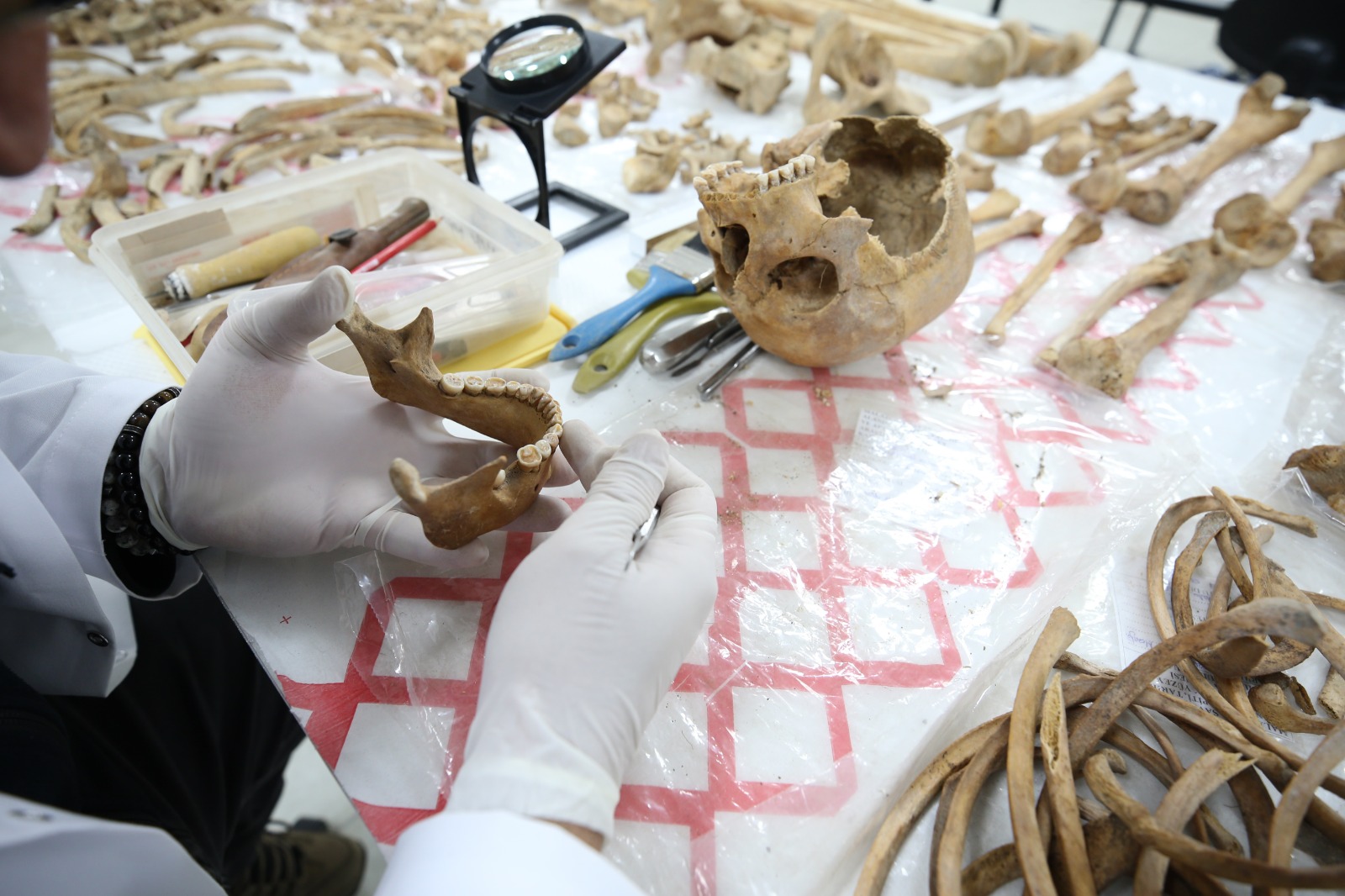 Whatsapp Image 2025 11 07 At 14.47.44