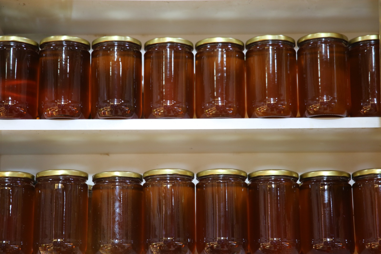 Whatsapp Image 2025 11 12 At 14.17.25 (1)