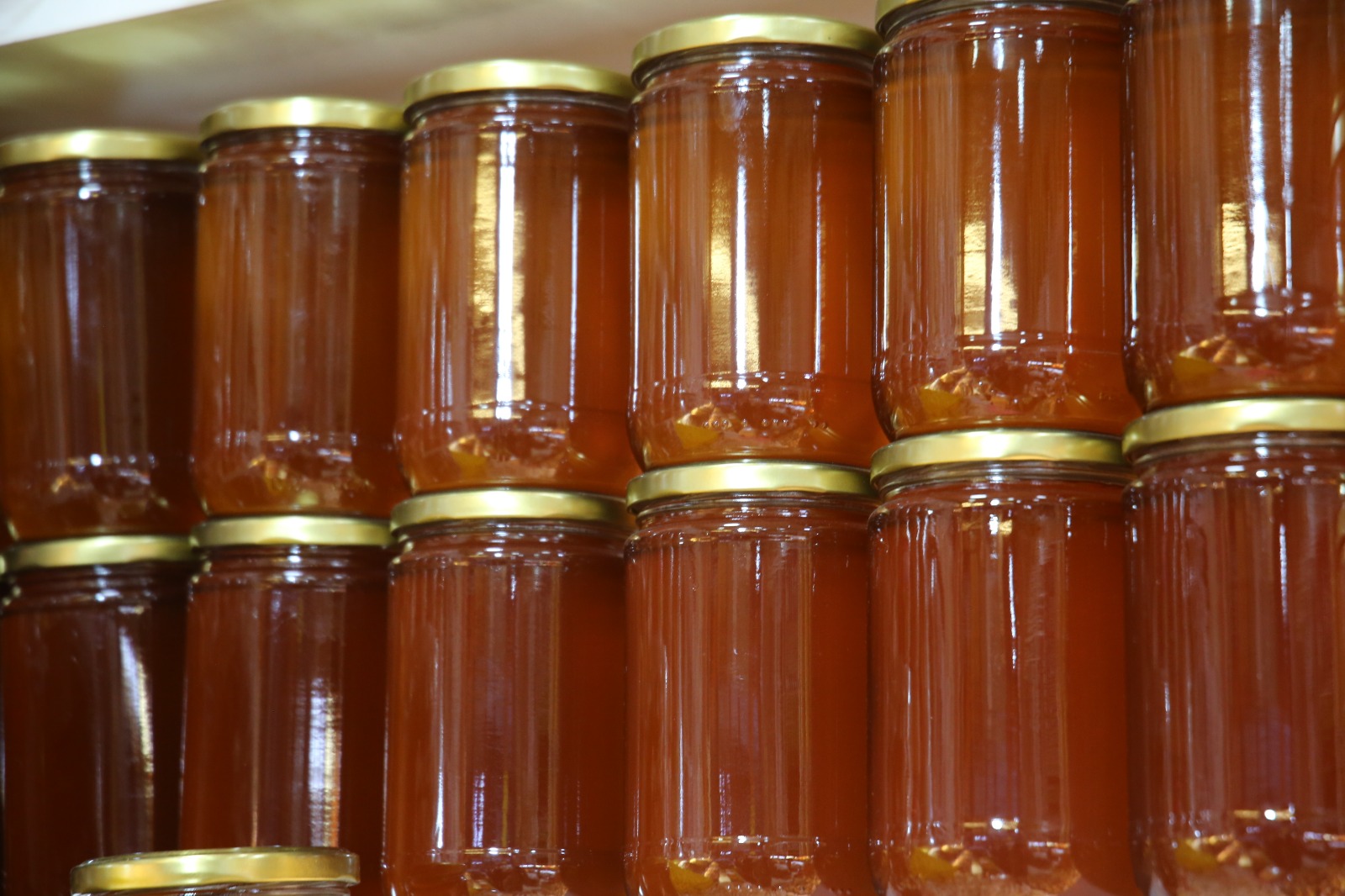 Whatsapp Image 2025 11 12 At 14.17.25 (7)