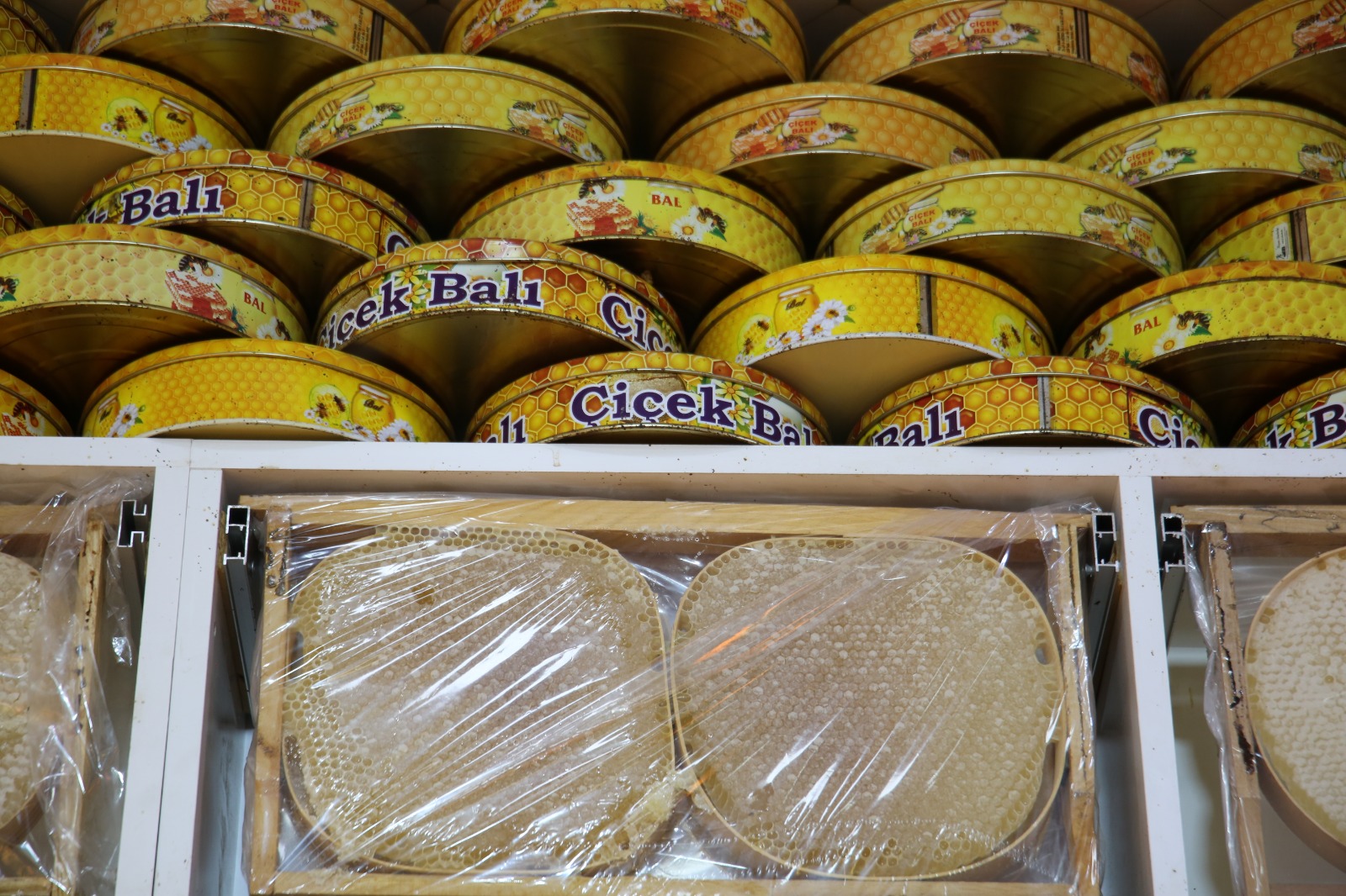 Whatsapp Image 2025 11 12 At 14.17.25