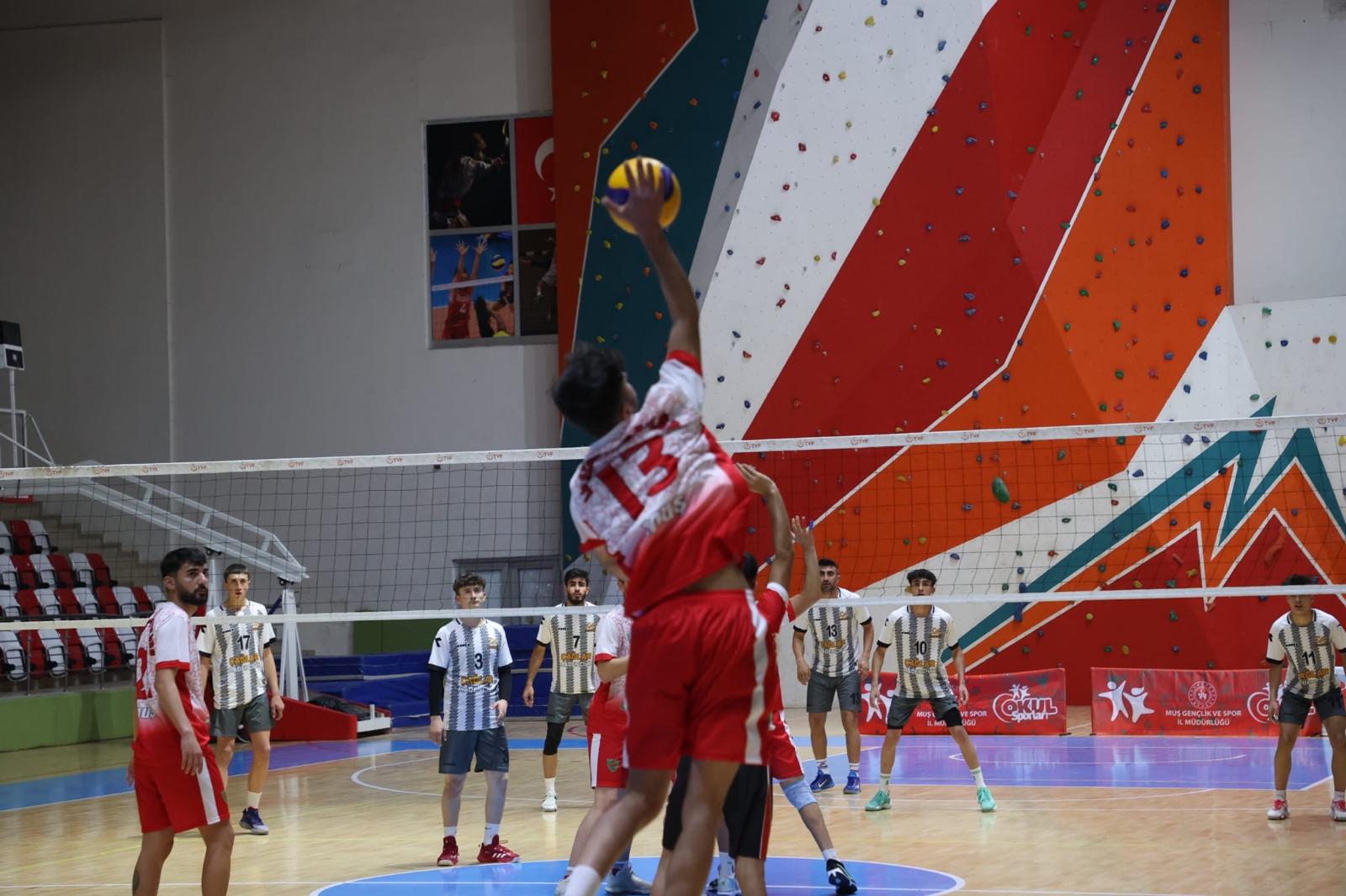 Whatsapp Image 2025 11 15 At 15.30.09