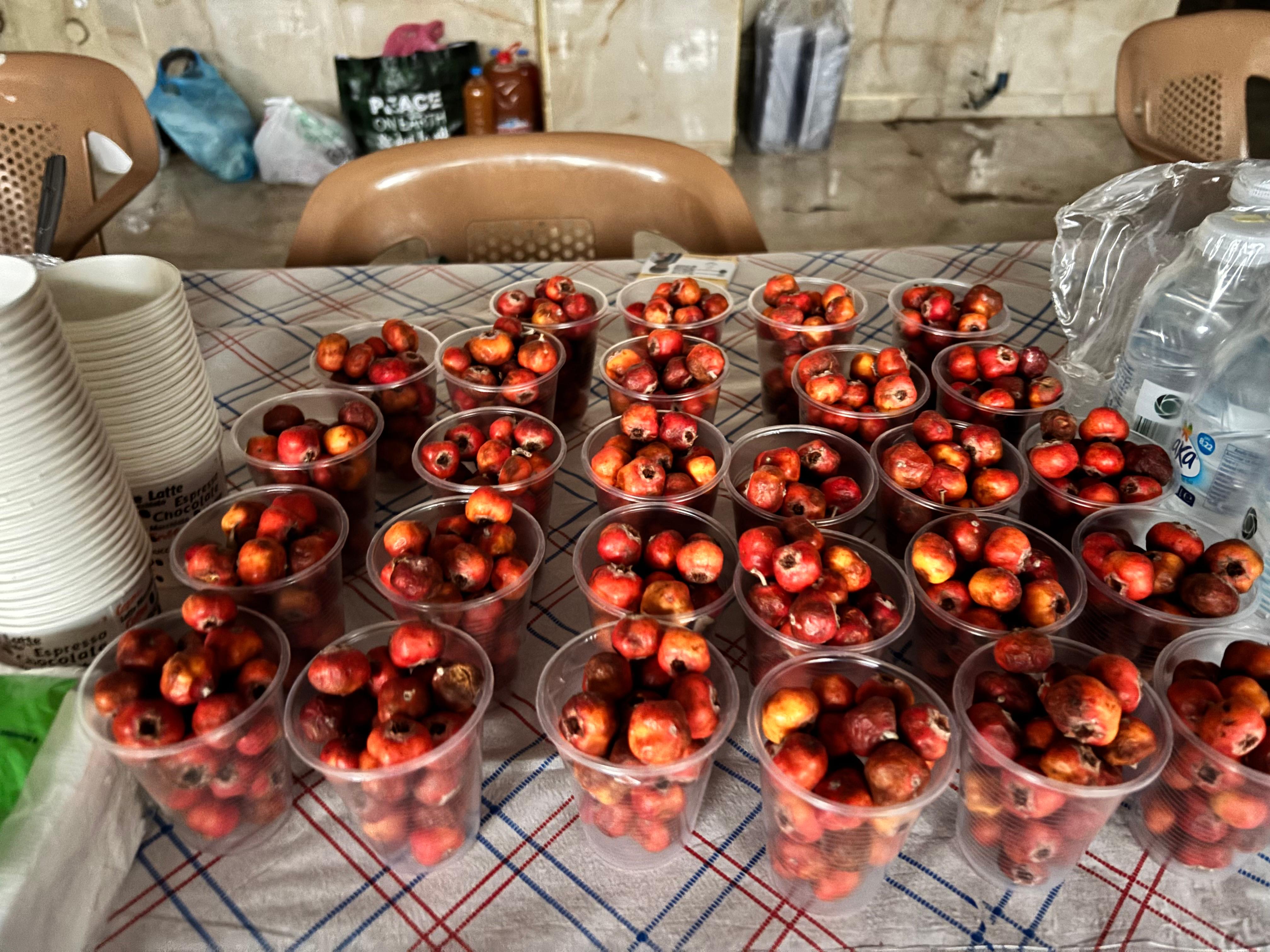 Whatsapp Image 2025 11 15 At 18.29.44