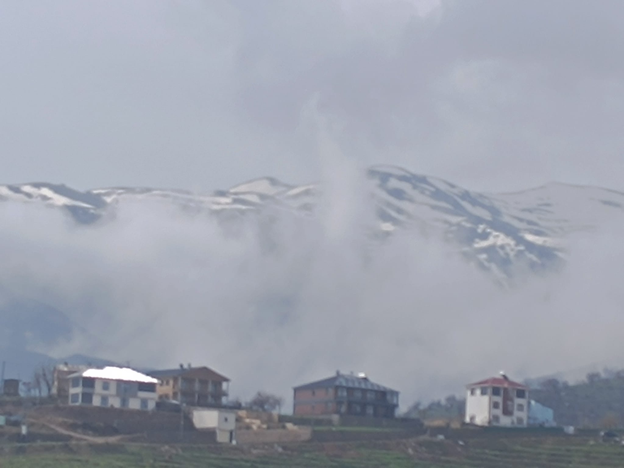 Whatsapp Image 2025 11 17 At 10.31.20