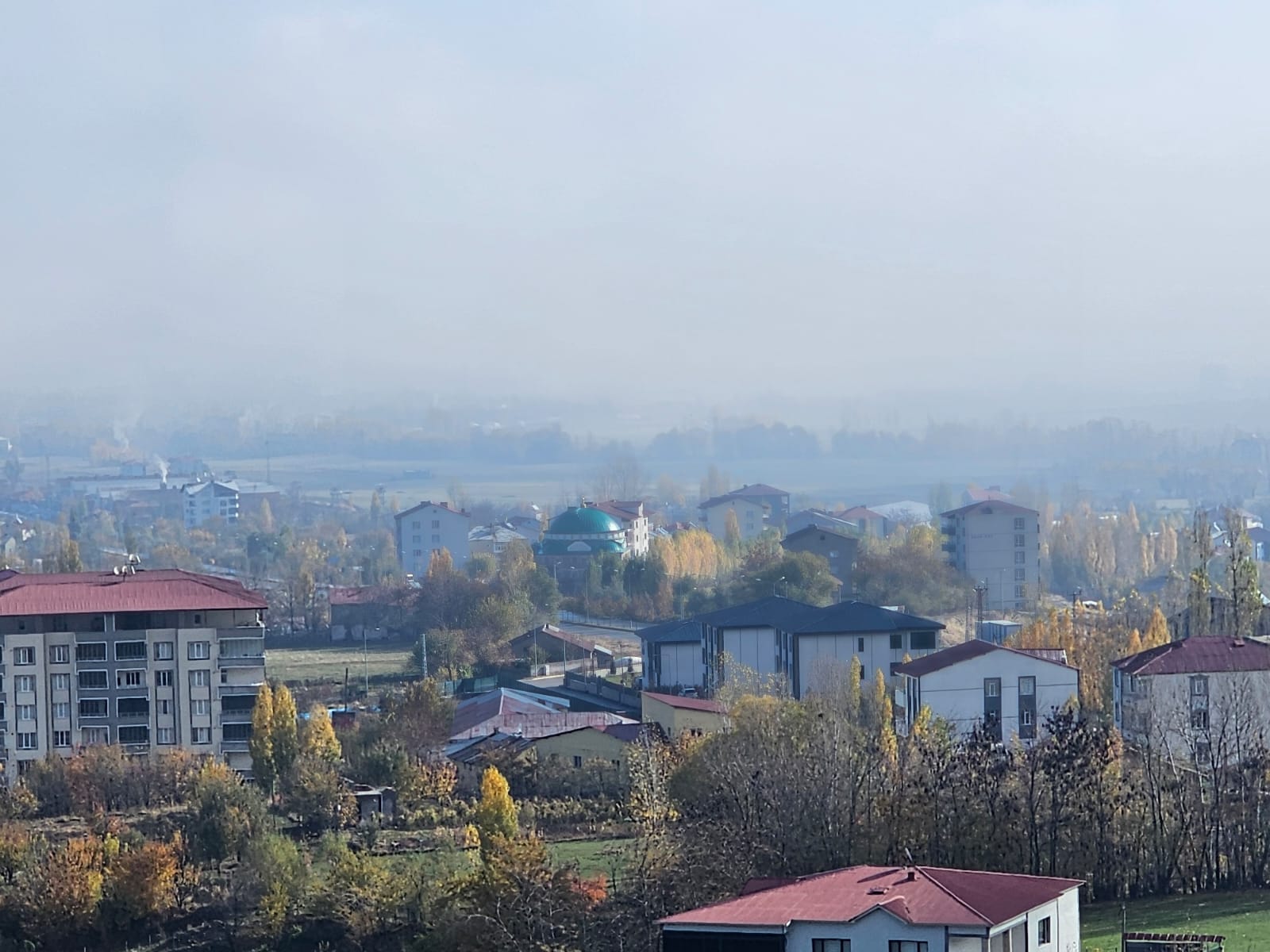 Whatsapp Image 2025 11 17 At 10.31.42