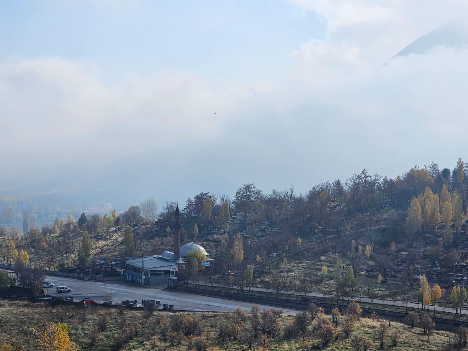 Whatsapp Image 2025 11 17 At 10.31.43