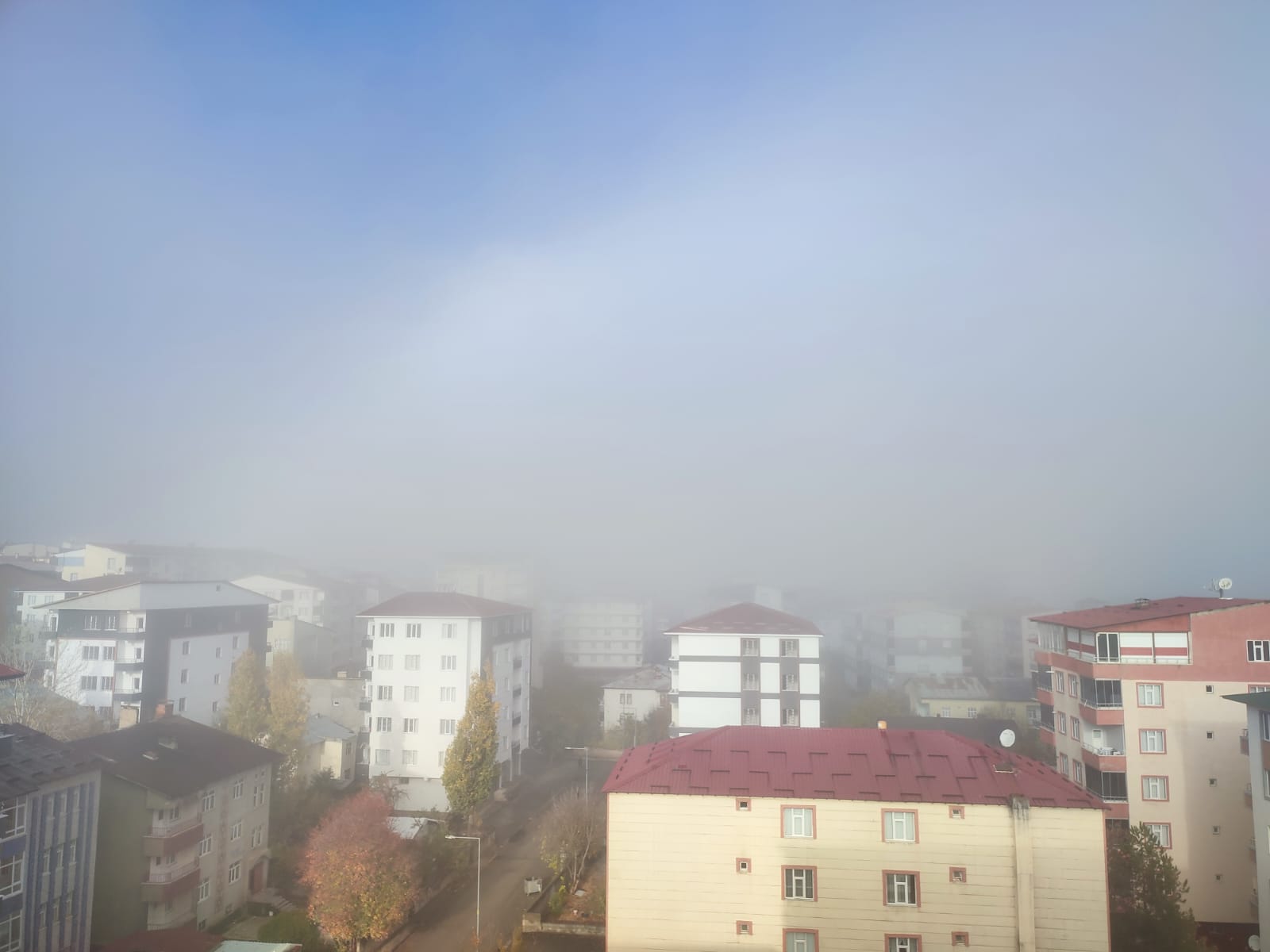 Whatsapp Image 2025 11 17 At 10.48.35