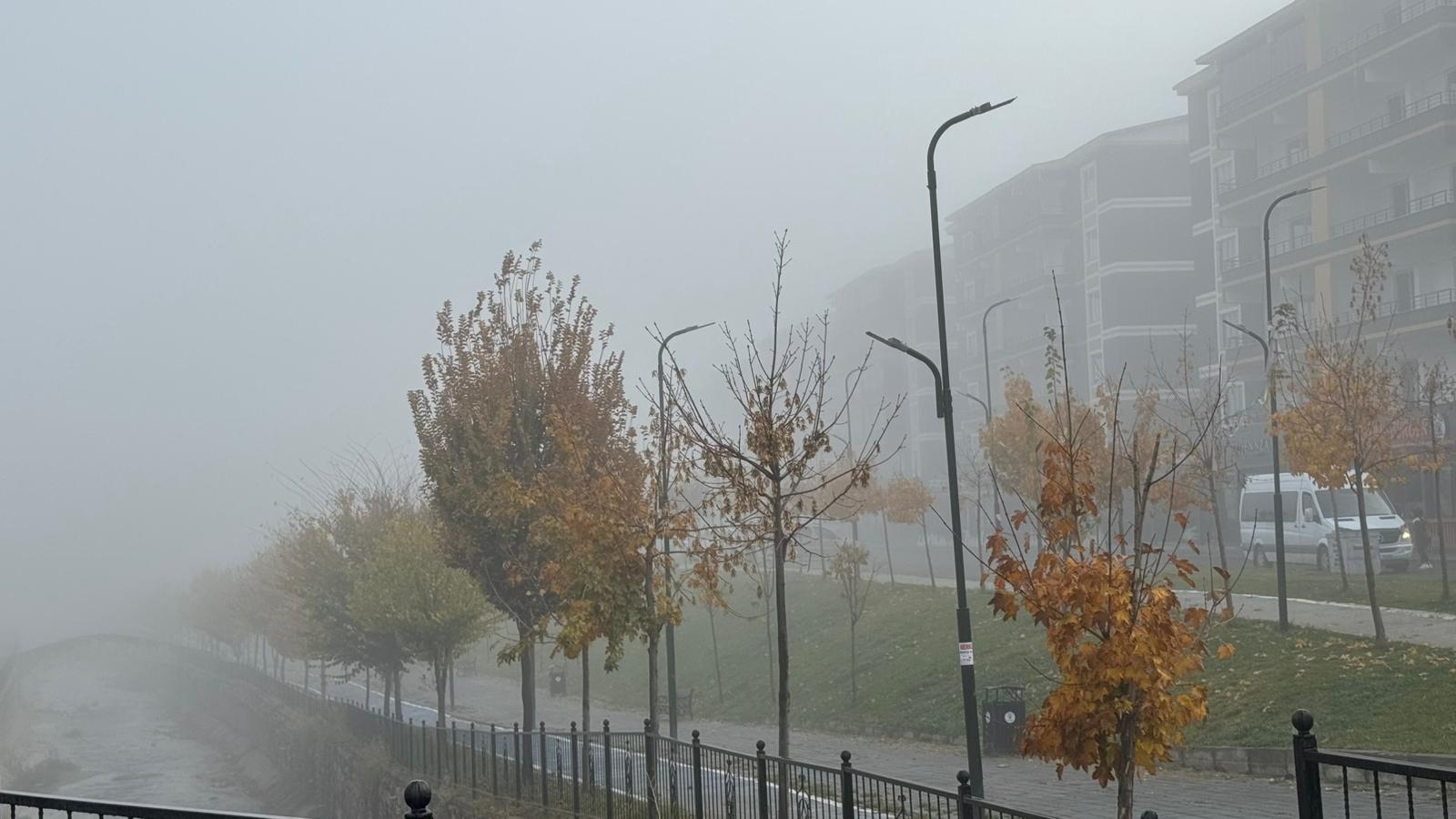 Whatsapp Image 2025 11 17 At 11.06.50