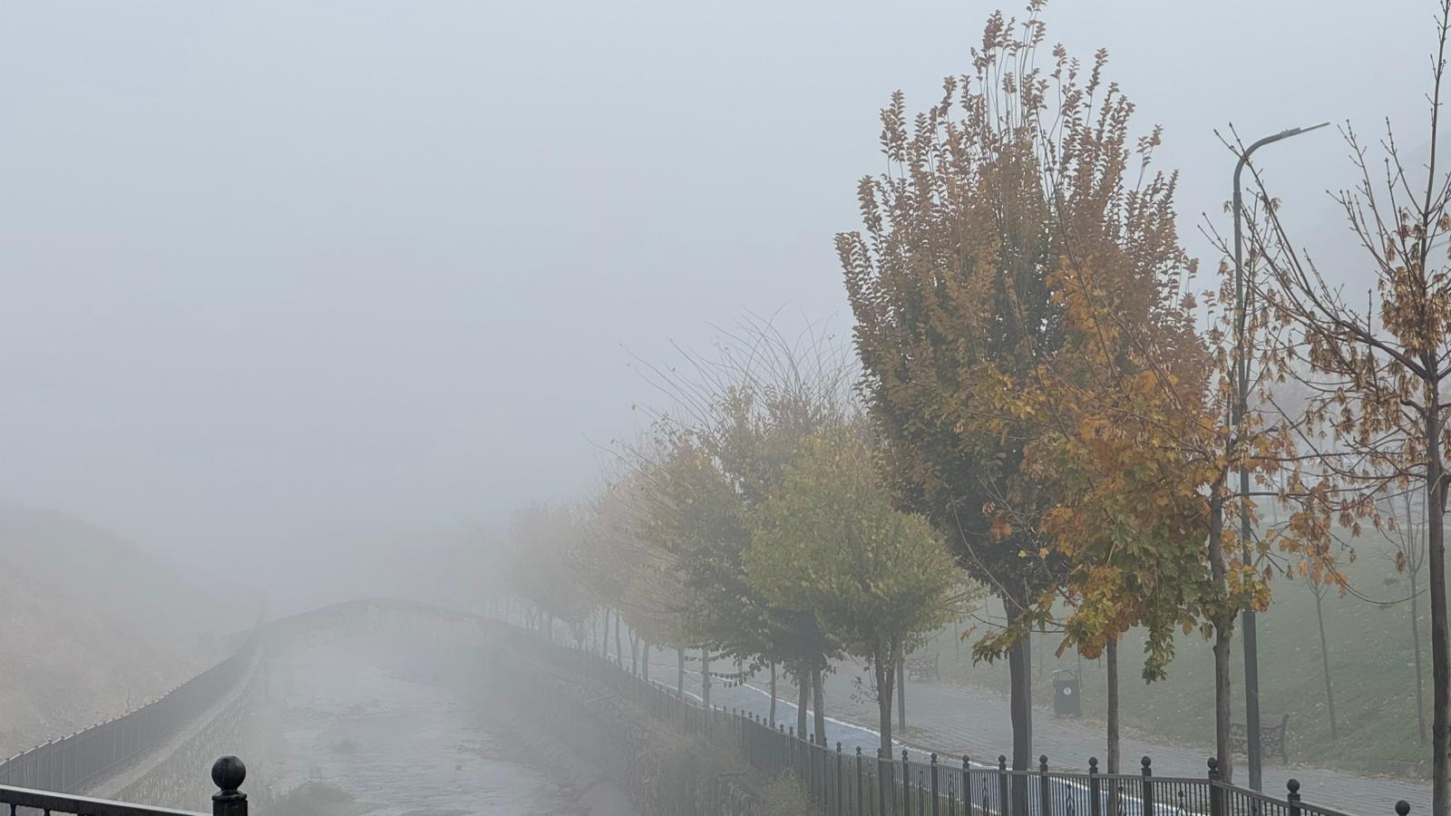 Whatsapp Image 2025 11 17 At 11.06.52 (1)