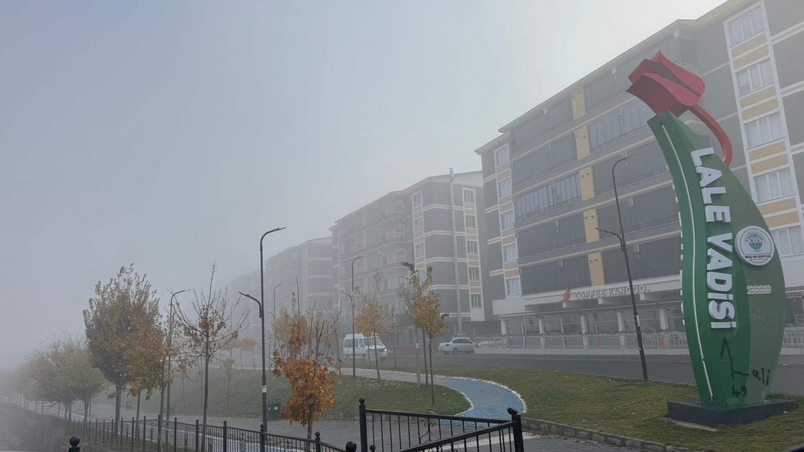 Whatsapp Image 2025 11 17 At 11.06.52