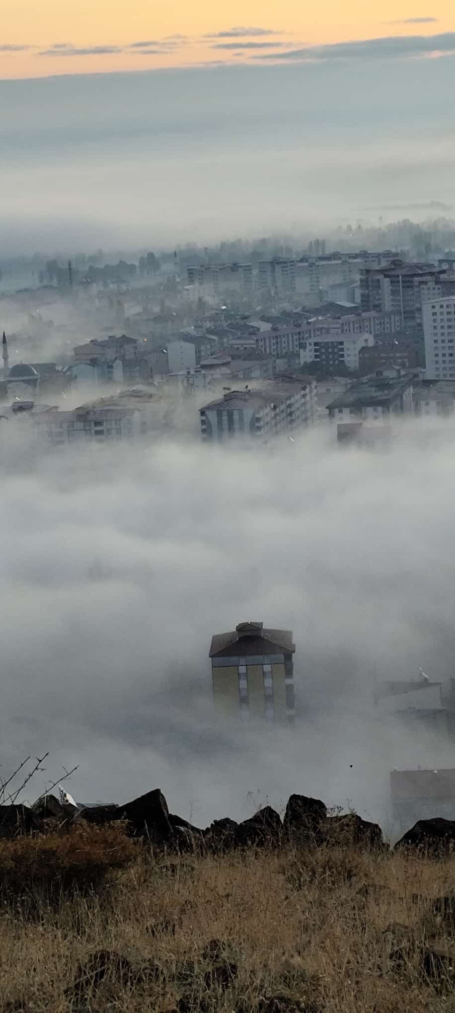 Whatsapp Image 2025 11 17 At 16.41.57