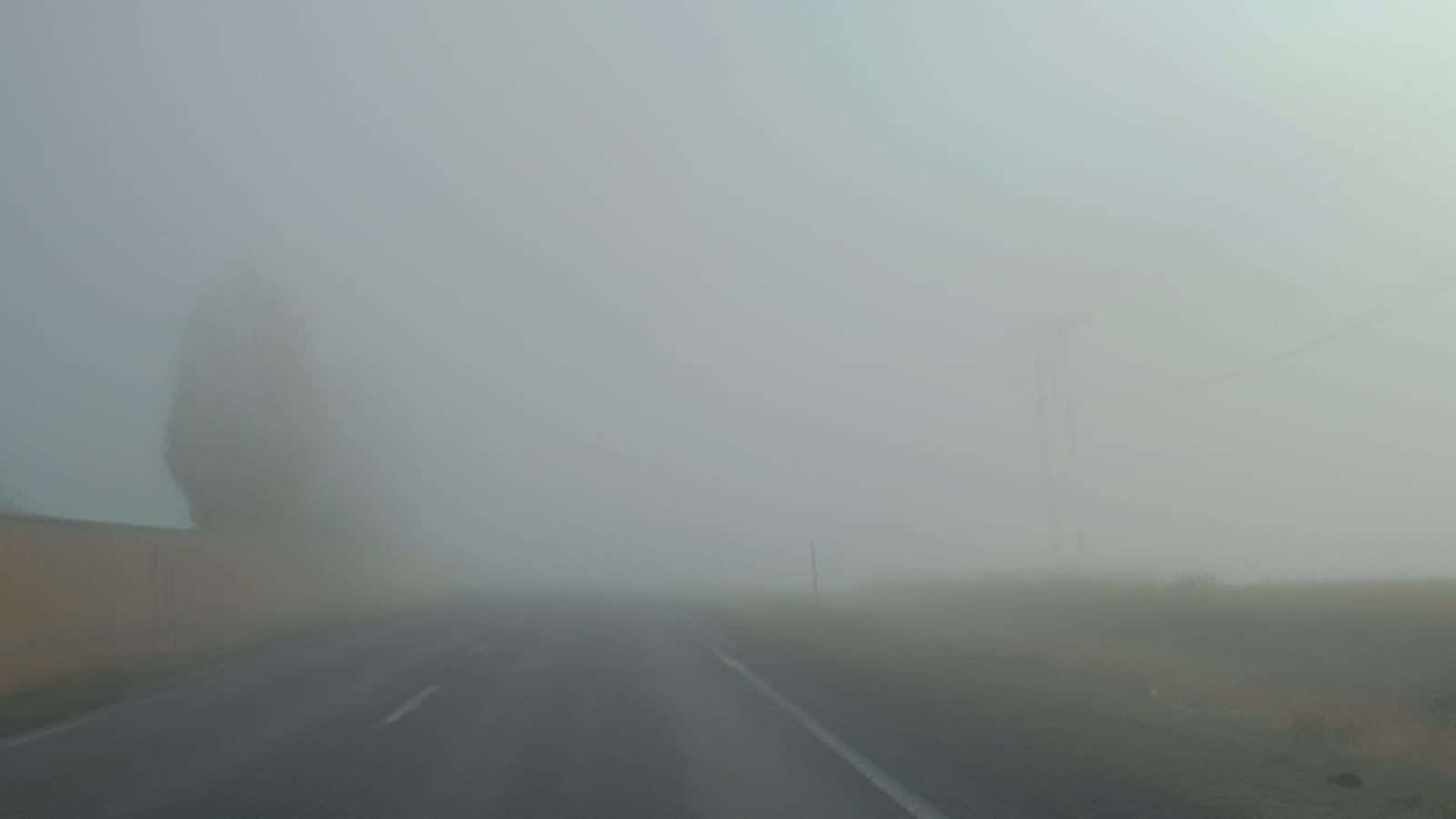 Whatsapp Image 2025 11 18 At 09.21.42