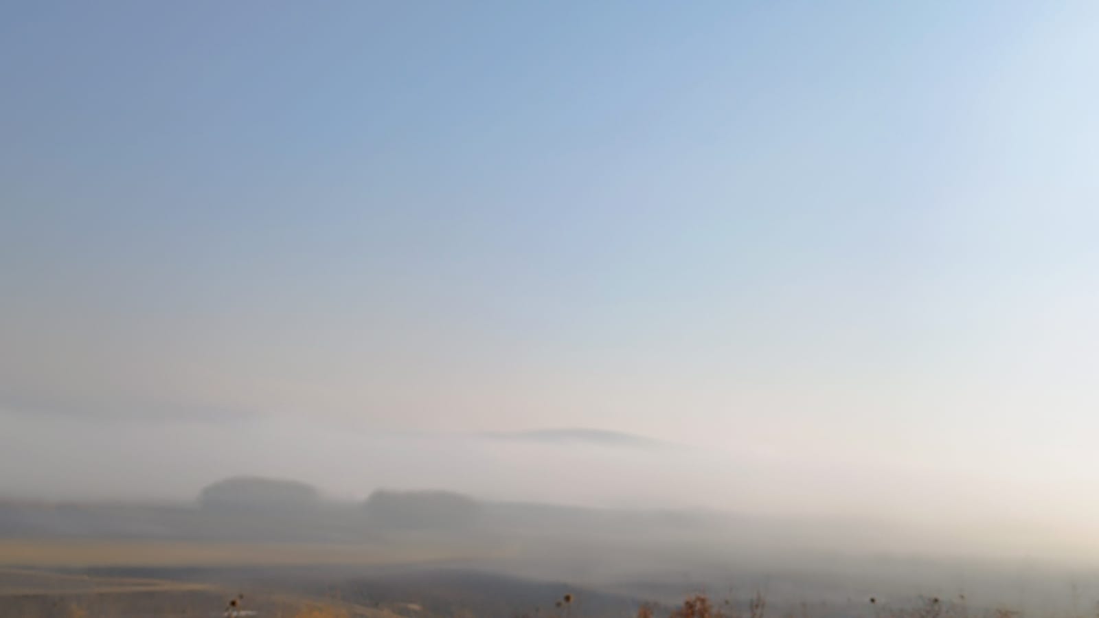 Whatsapp Image 2025 11 18 At 09.23.08