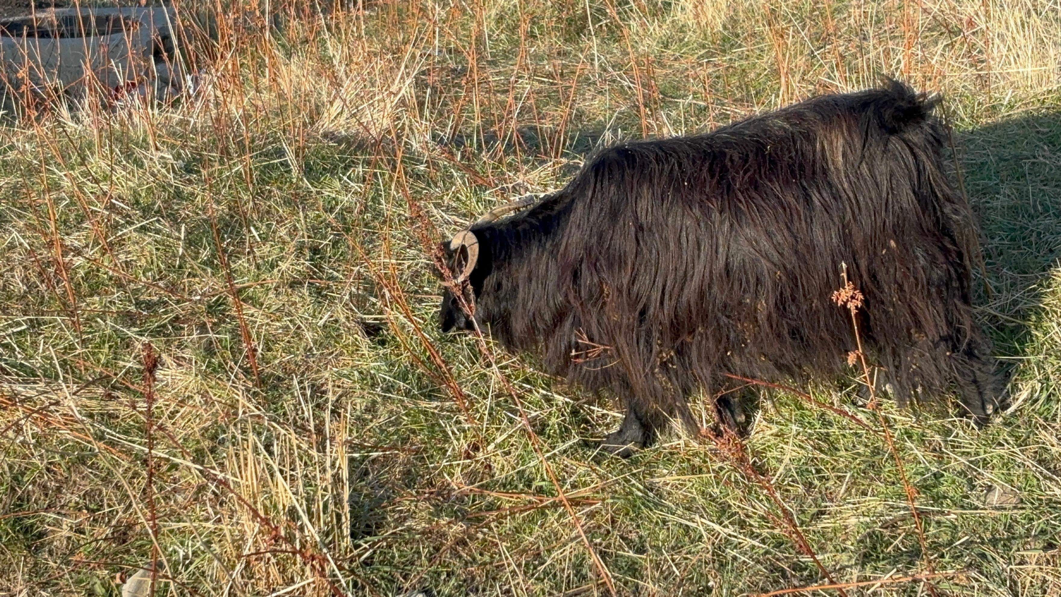 Whatsapp Image 2025 11 19 At 16.48.10 (2)