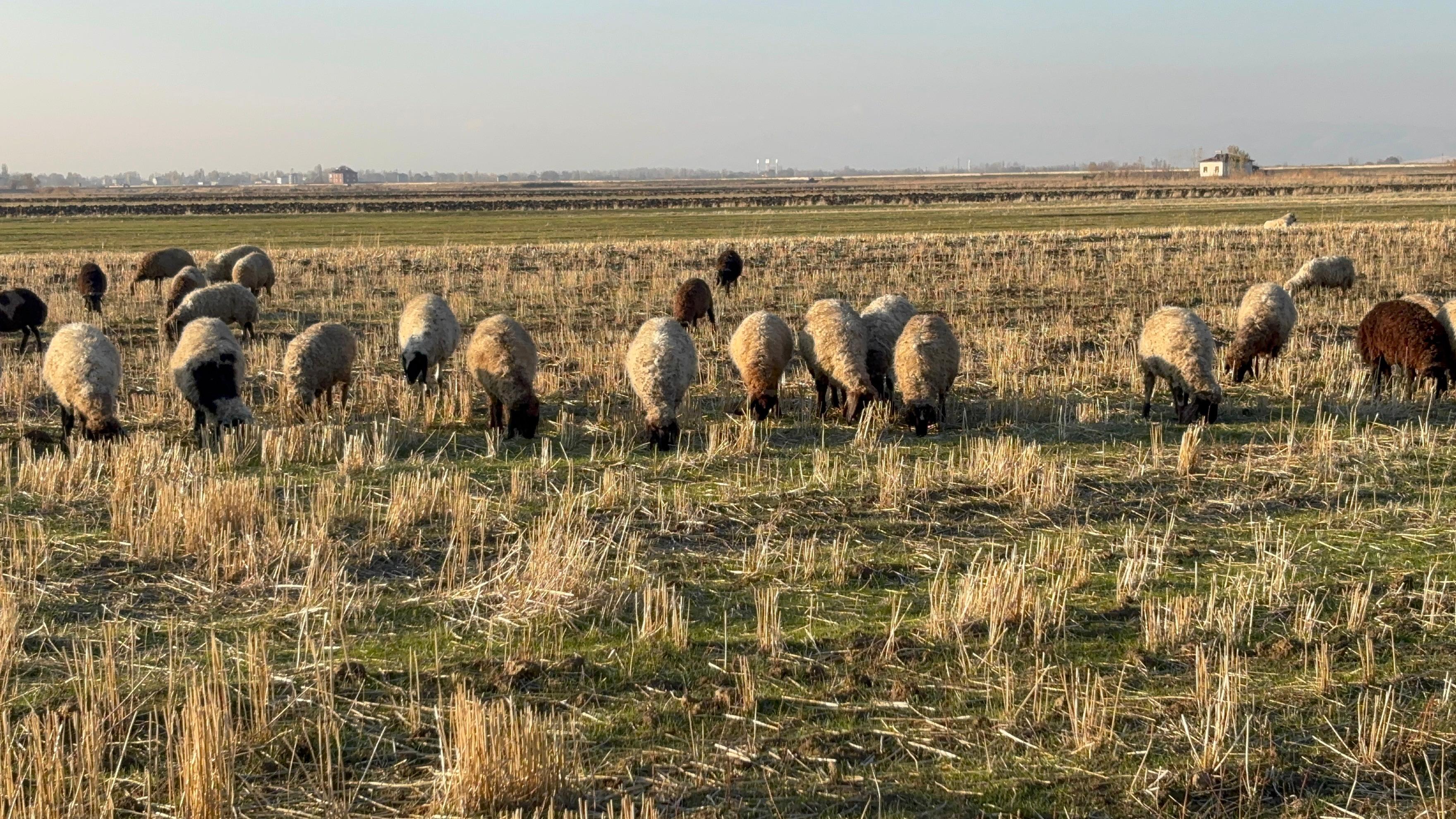 Whatsapp Image 2025 11 19 At 16.48.10 (3)