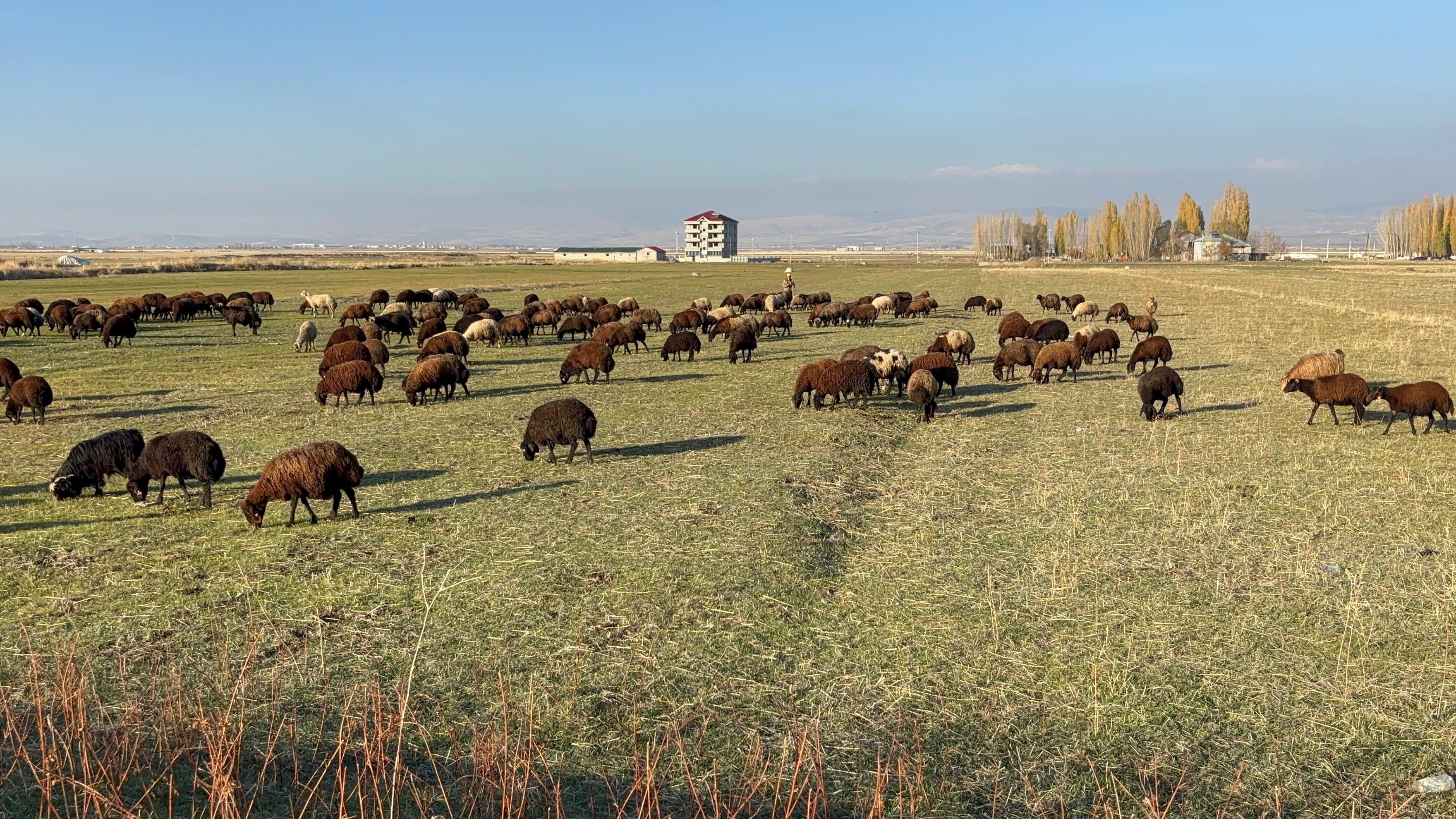 Whatsapp Image 2025 11 19 At 16.48.10