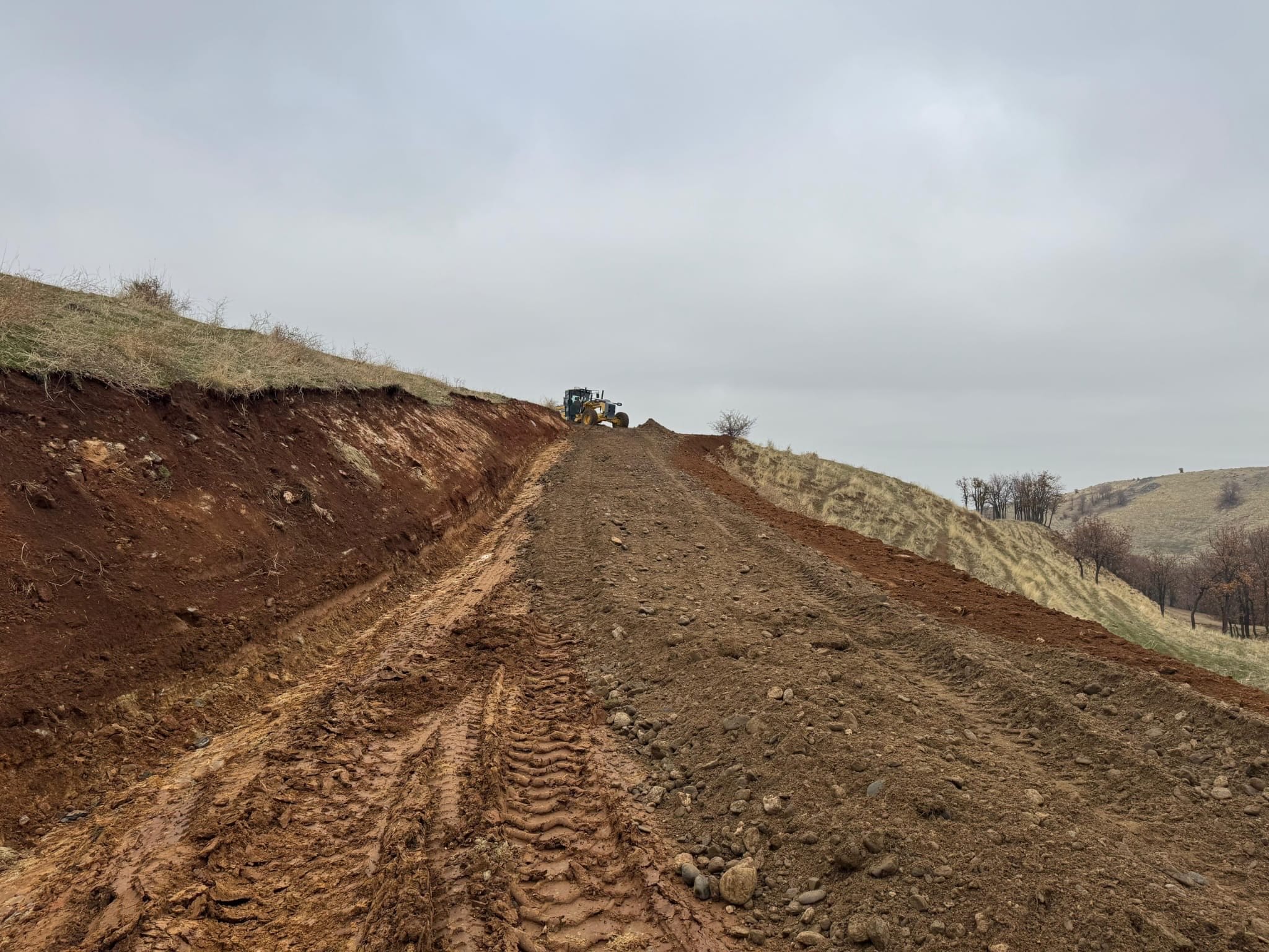 Whatsapp Image 2025 11 22 At 11.01.27