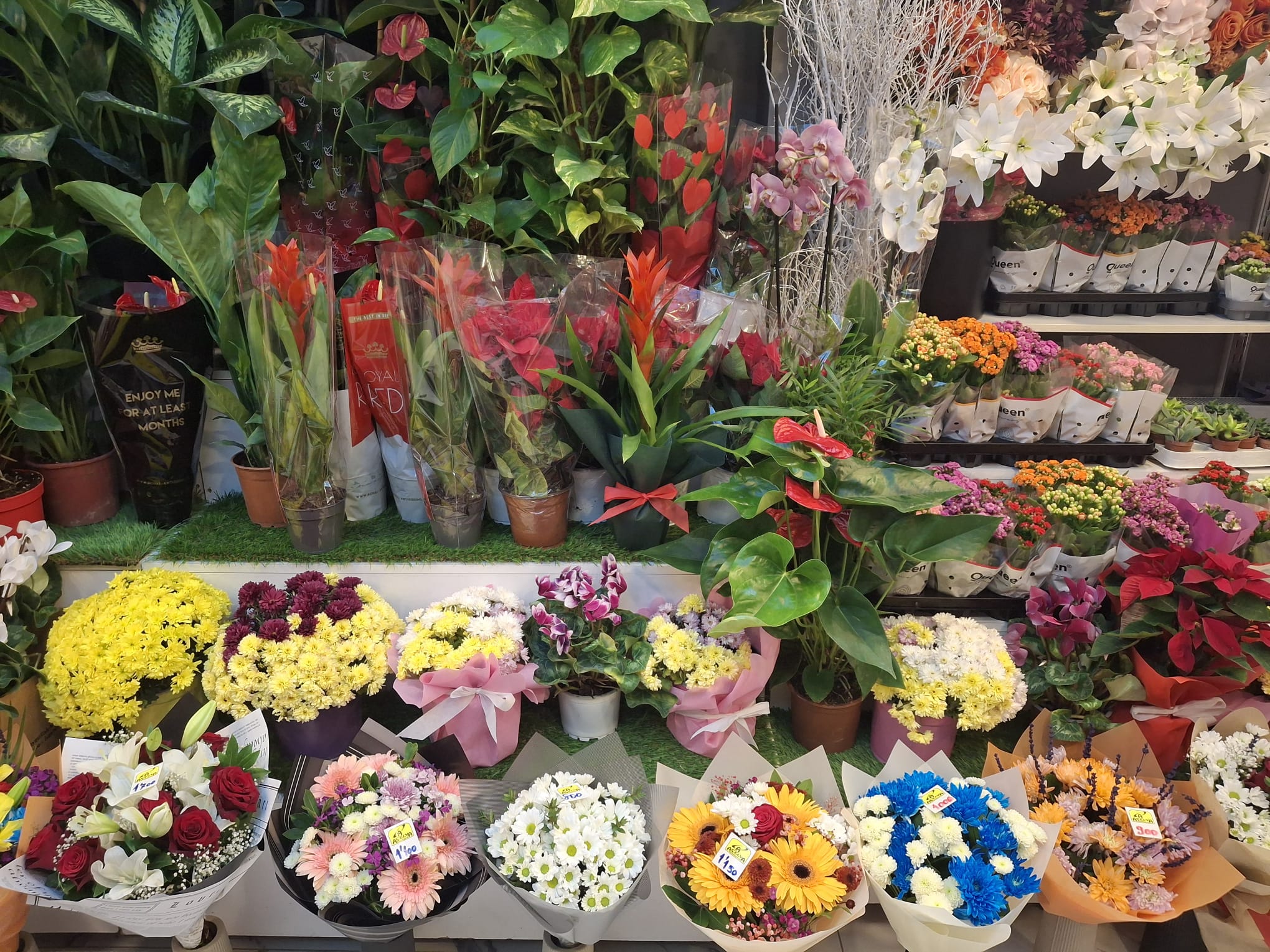 Whatsapp Image 2025 11 23 At 18.35.38 (1)