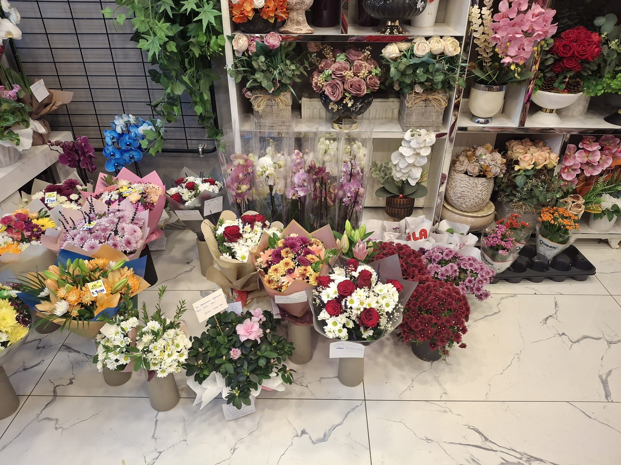 Whatsapp Image 2025 11 23 At 18.35.39