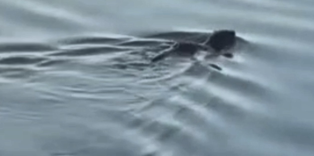 Whatsapp Image 2025 11 25 At 09.37.14