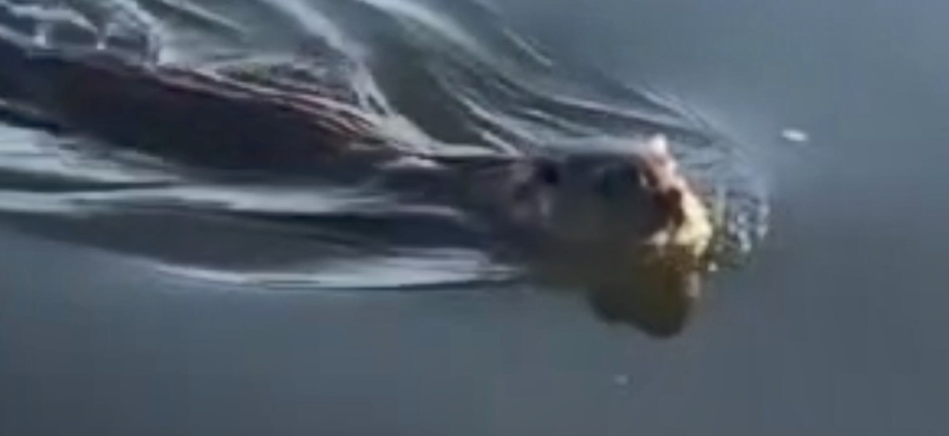 Whatsapp Image 2025 11 25 At 09.38.02