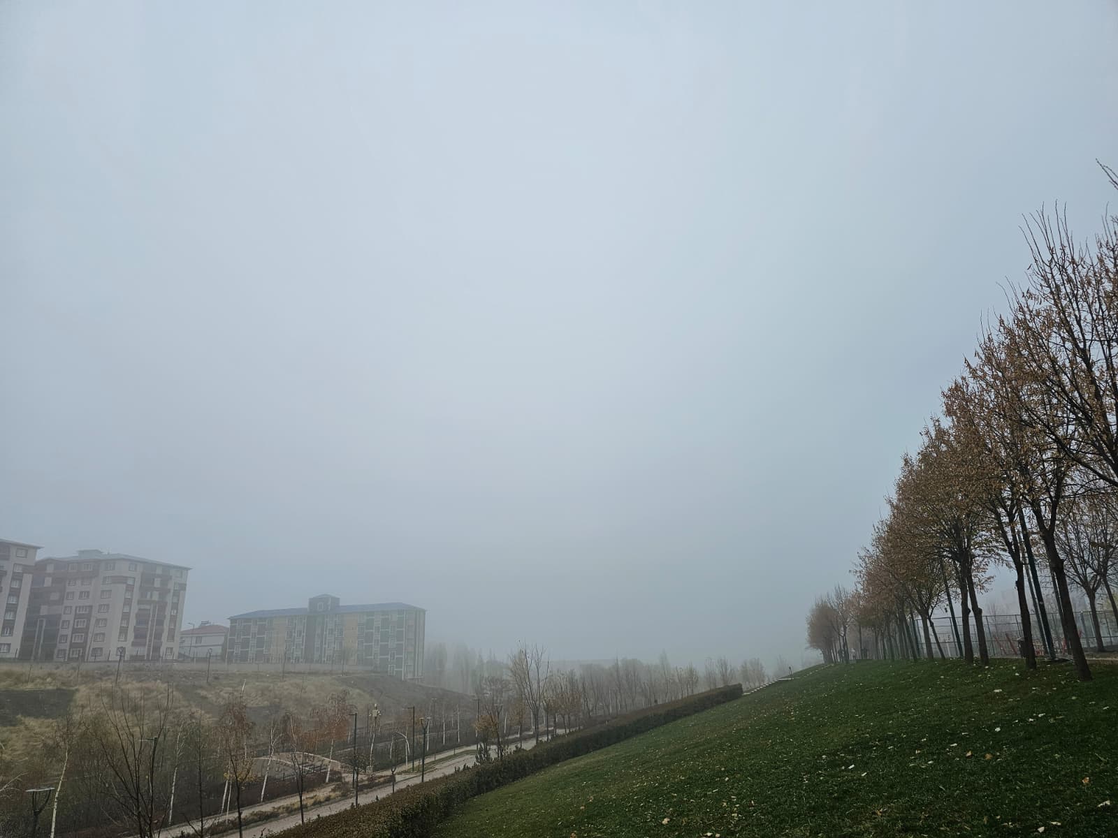 Whatsapp Image 2025 11 27 At 13.33.51