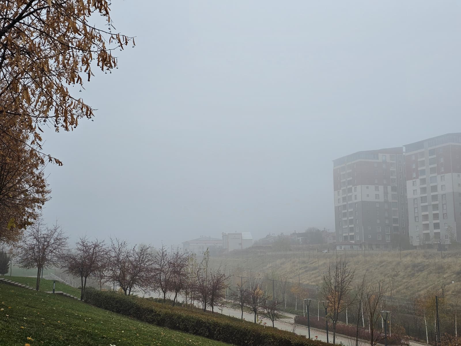 Whatsapp Image 2025 11 27 At 13.33.56