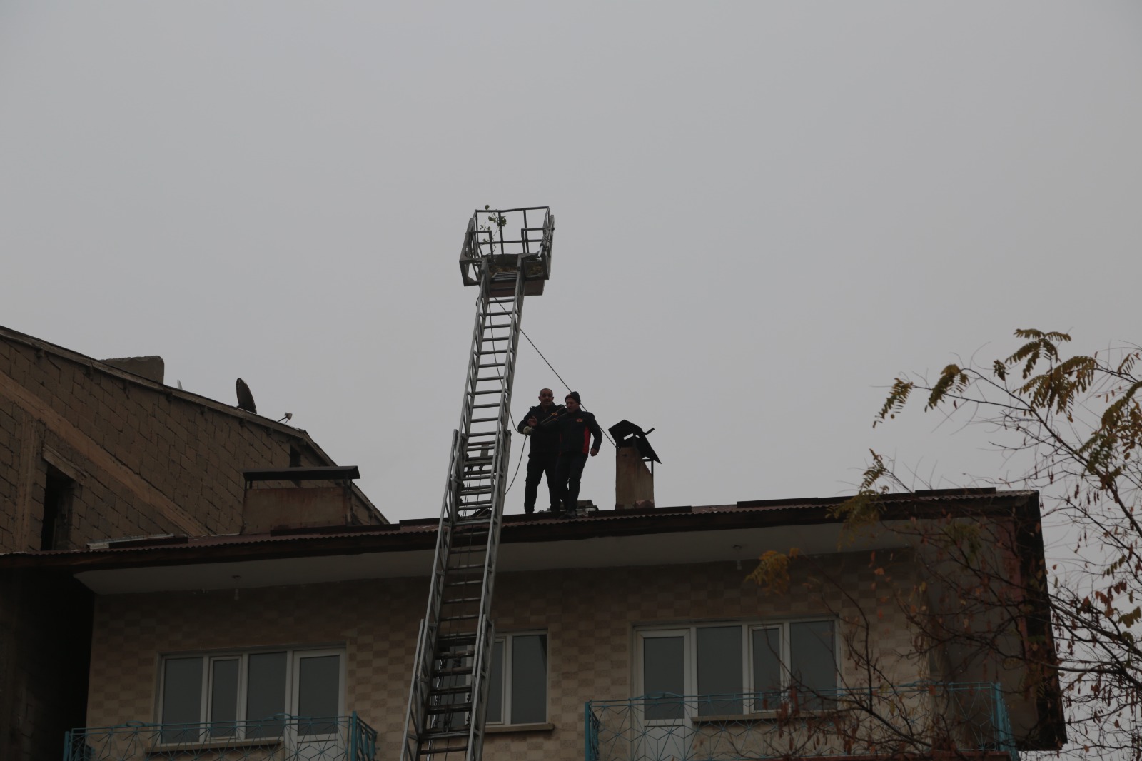 Whatsapp Image 2025 11 28 At 14.25.33 (4)