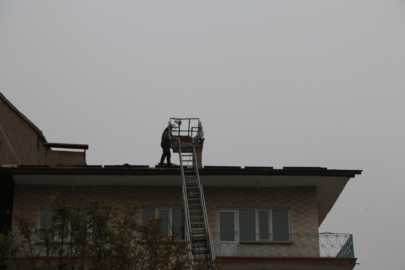 Whatsapp Image 2025 11 28 At 14.25.33