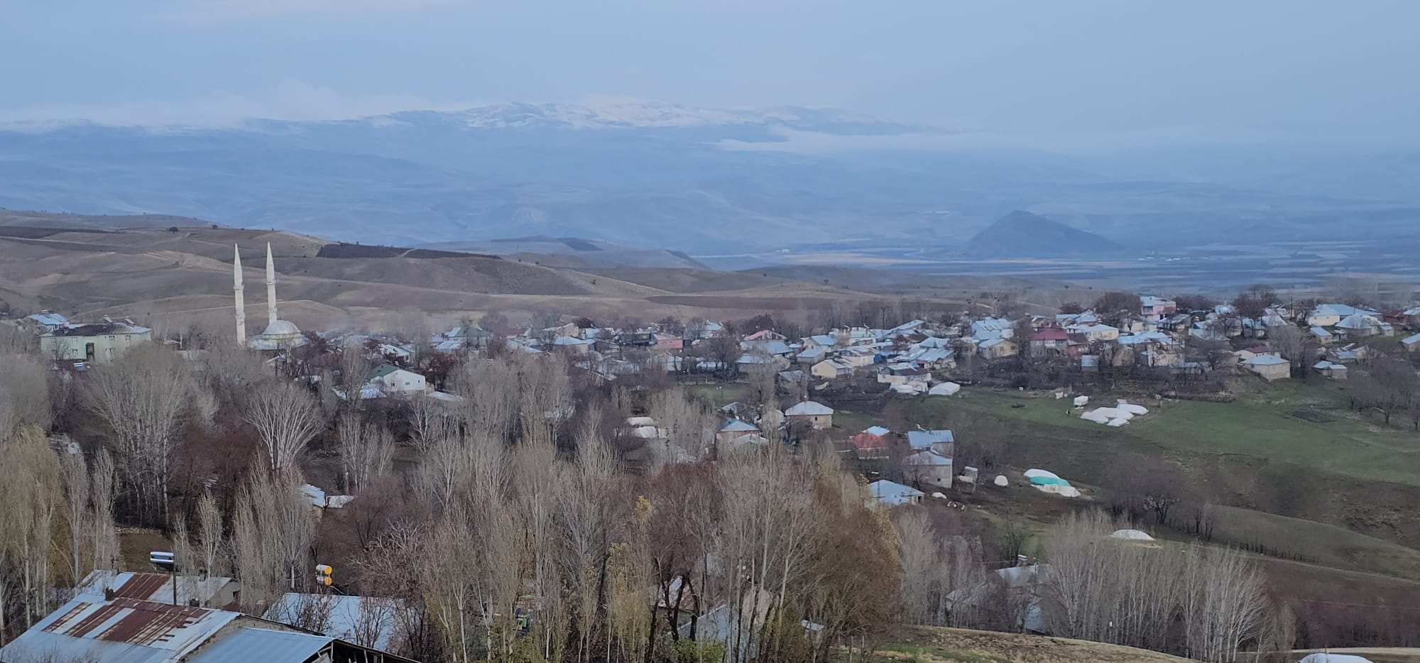 3D2A88C0 233C 4373 8041 De4Ded430Fda