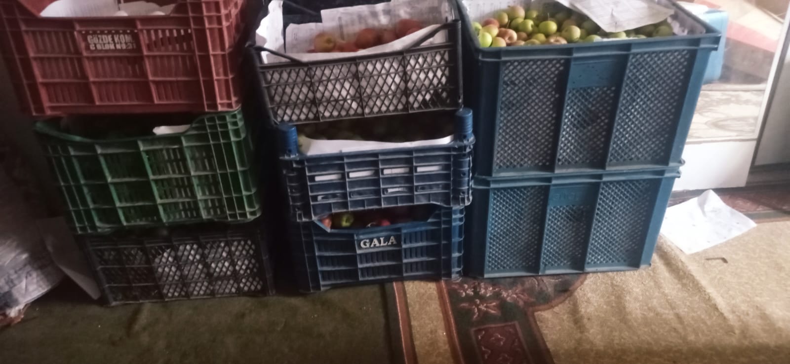 Ddb24963 A7B1 4524 Ab8C 586601Ef3Daa