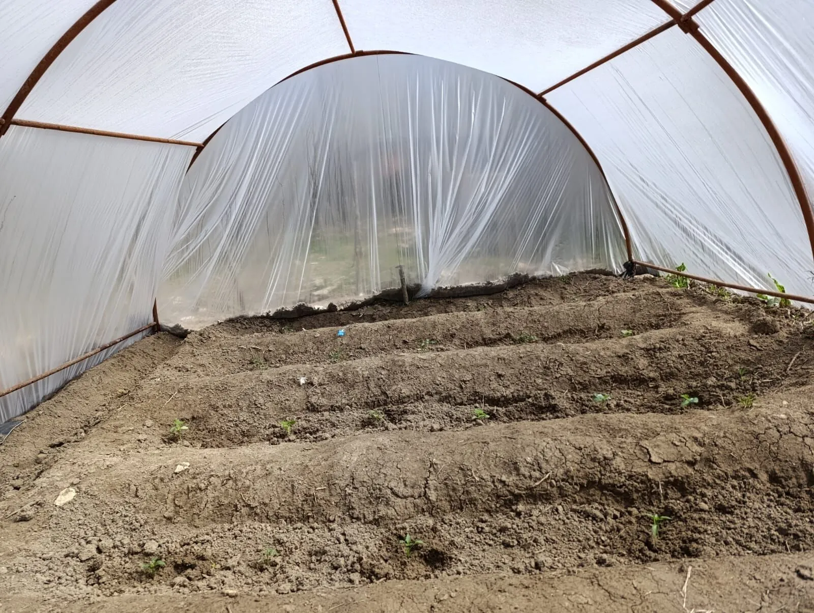 E9Ee34E5 8Ec5 4A65 9037 465115942B85-1