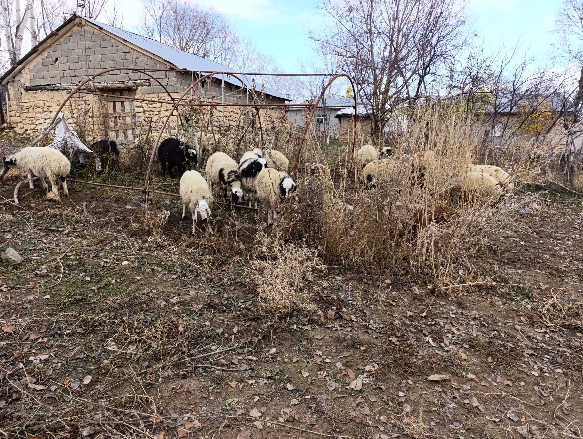 Whatsapp Image 2025 12 02 At 12.39.34