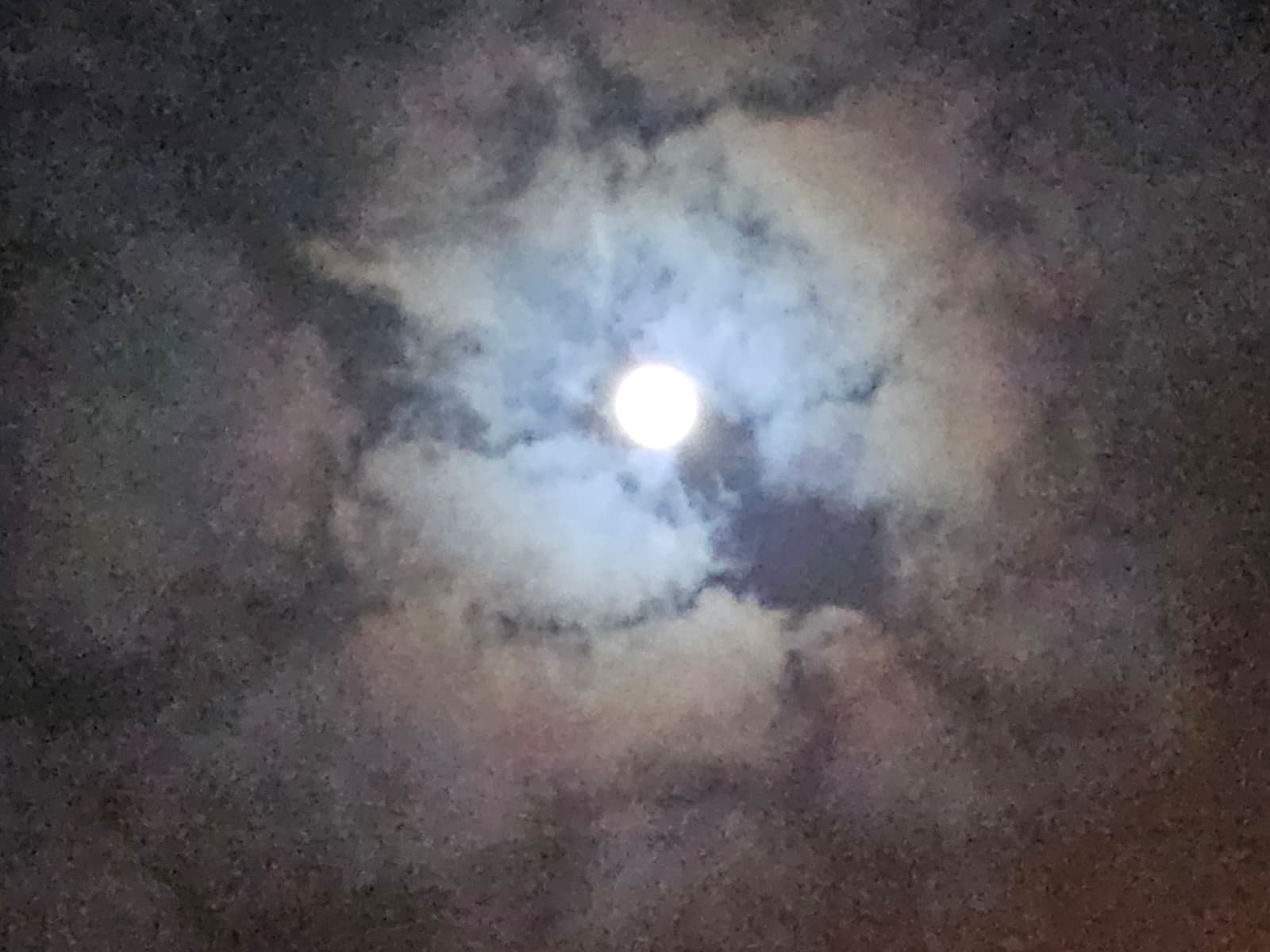 Whatsapp Image 2025 12 05 At 00.24.24