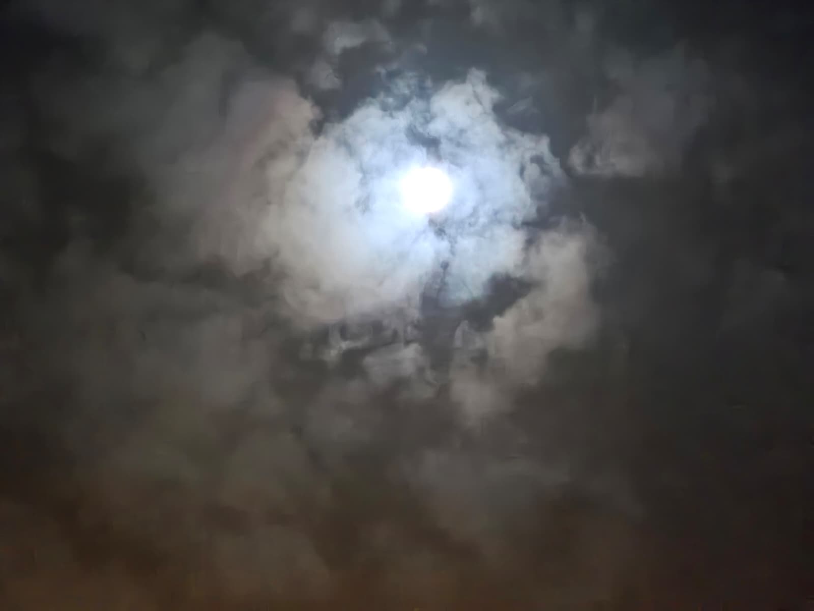 Whatsapp Image 2025 12 05 At 00.24.27