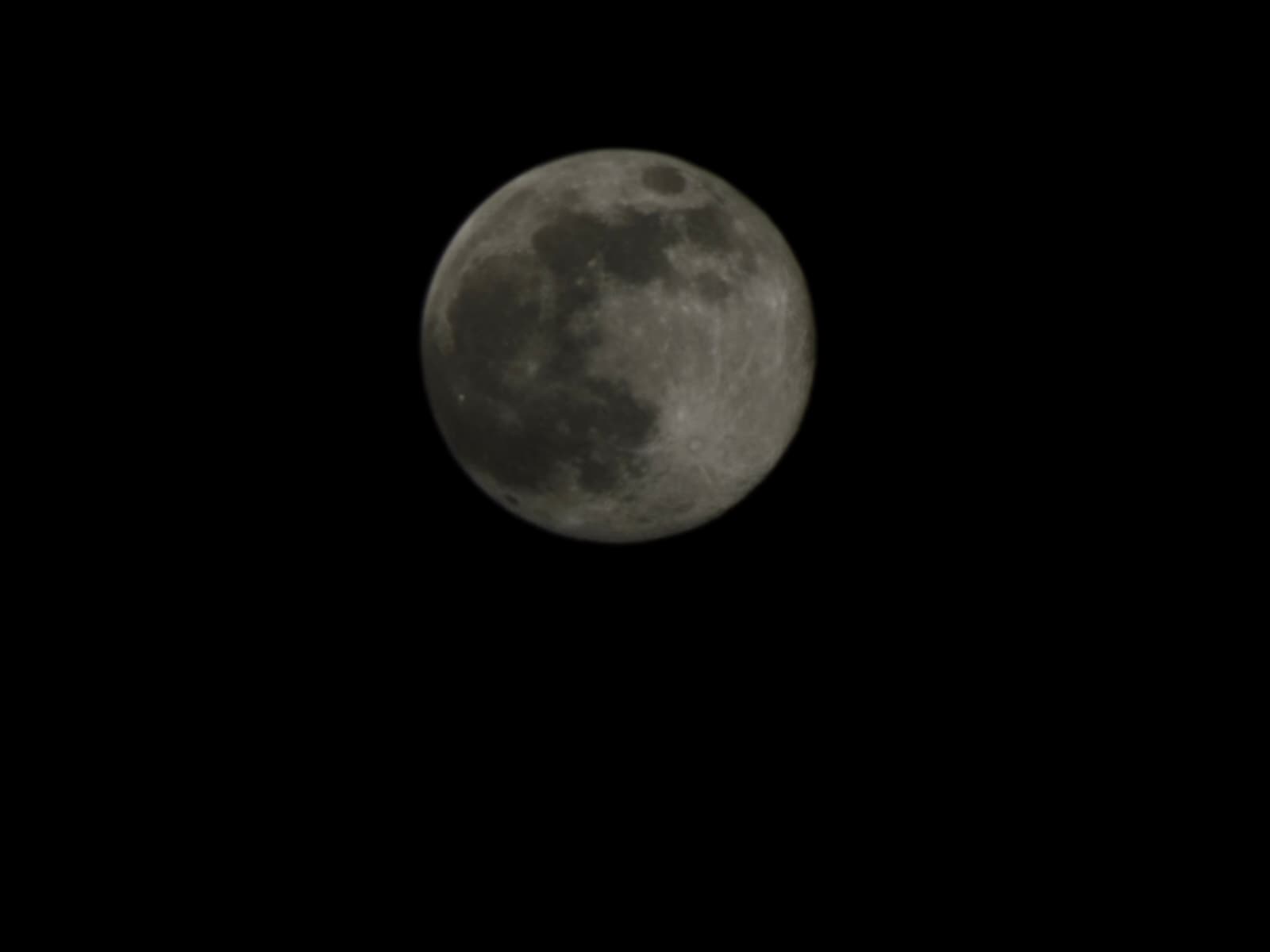 Whatsapp Image 2025 12 05 At 00.24.29