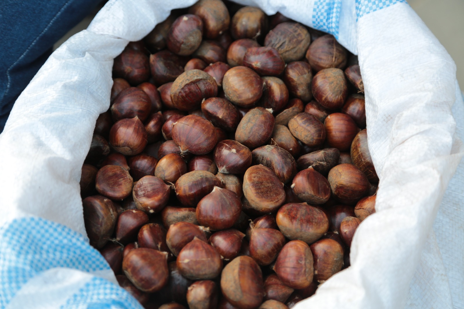 Whatsapp Image 2025 12 07 At 10.27.12 (5)