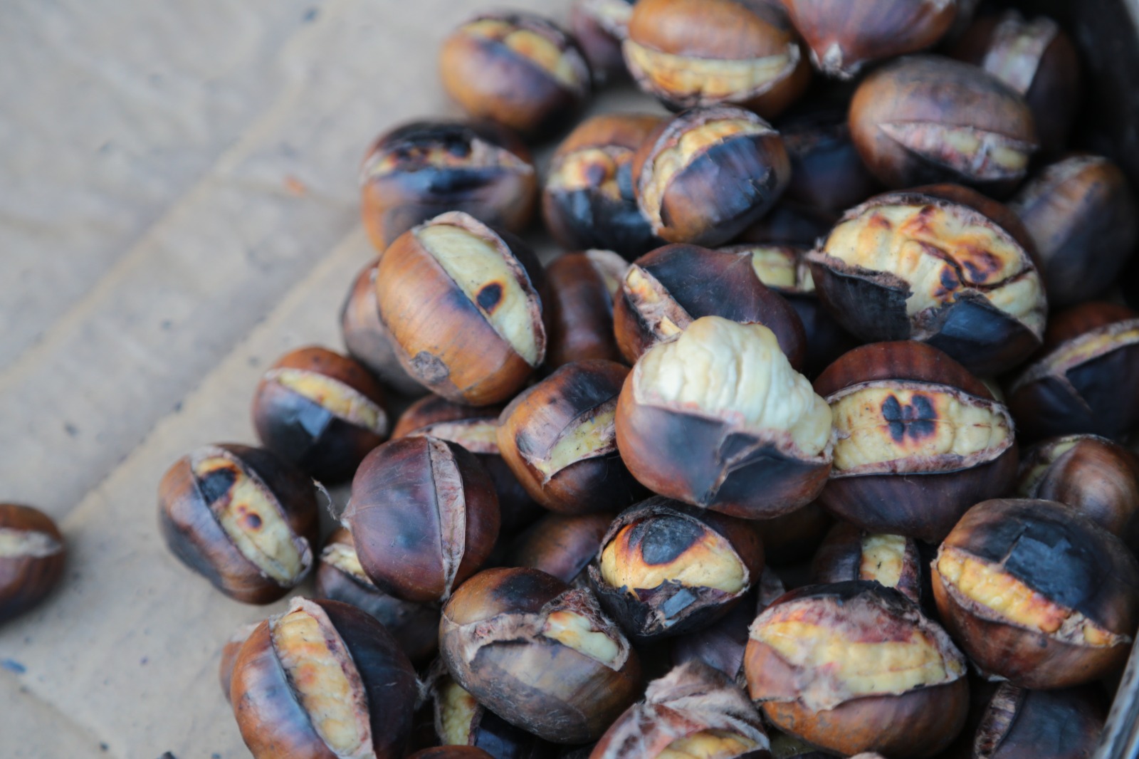 Whatsapp Image 2025 12 07 At 10.27.12 (6)