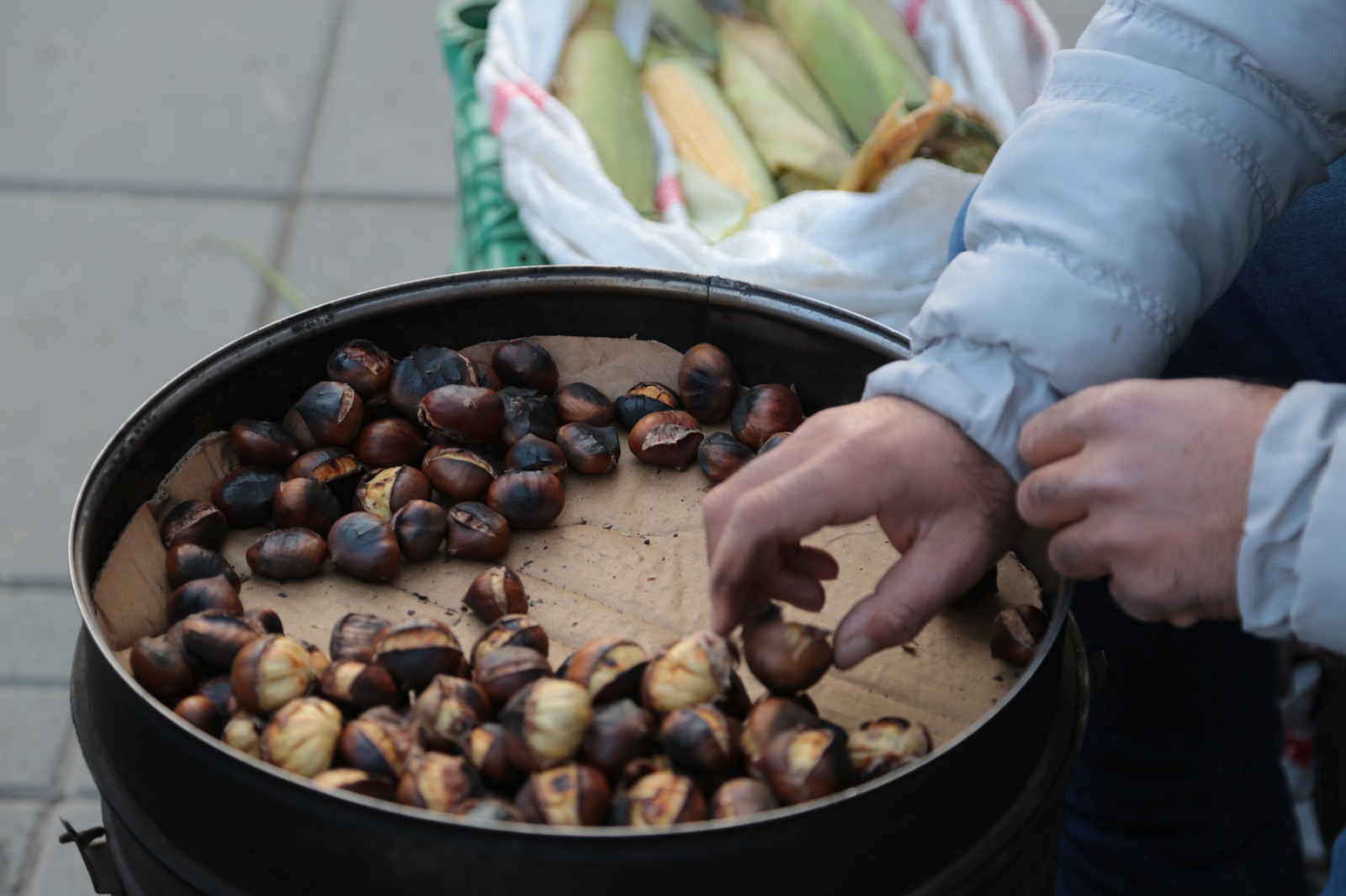 Whatsapp Image 2025 12 07 At 10.27.12