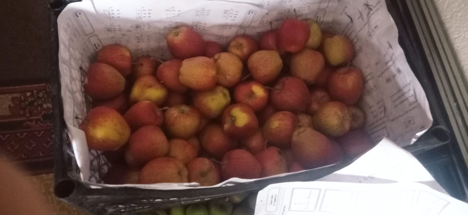 Whatsapp Image 2025 12 09 At 15.11.13 (2)