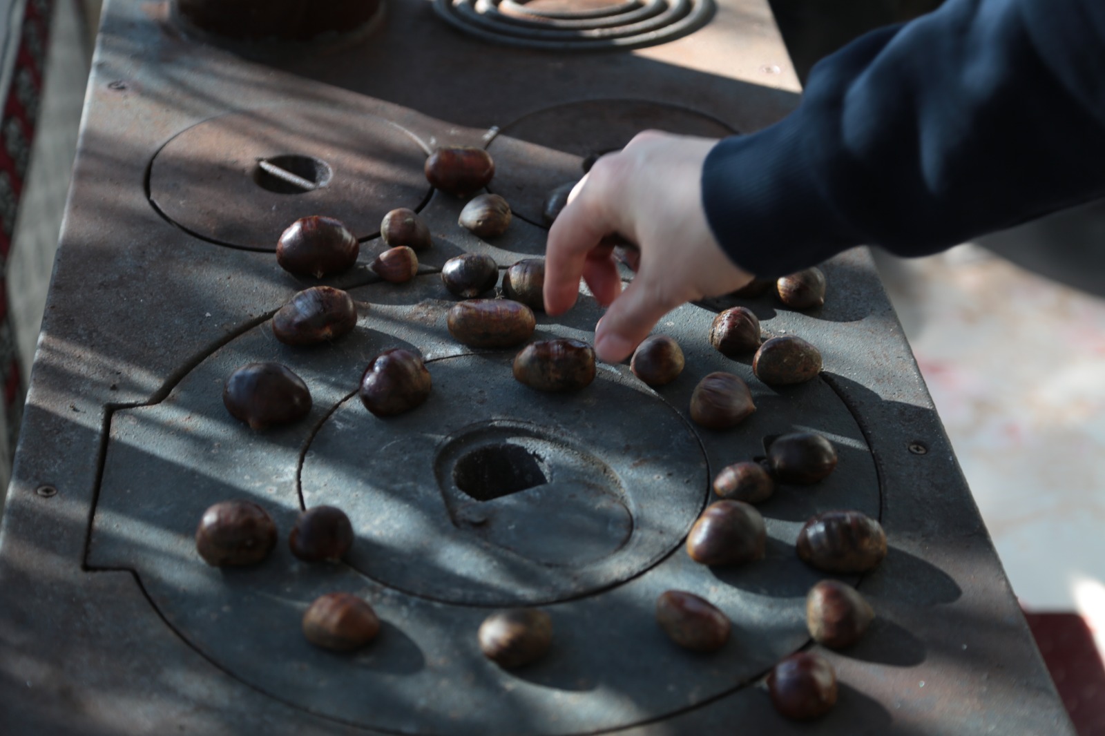 Whatsapp Image 2025 12 14 At 00.29.50 (1)