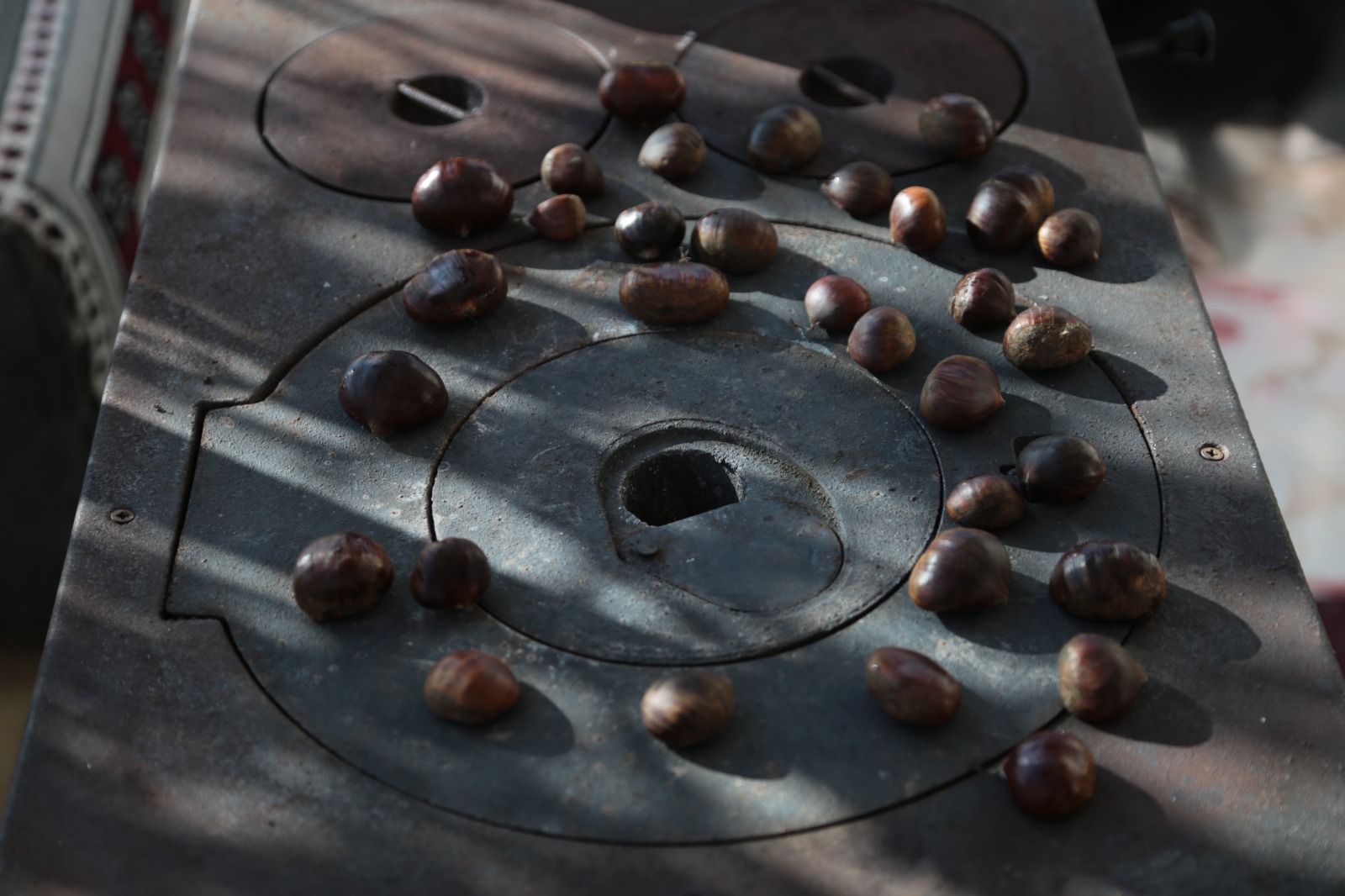 Whatsapp Image 2025 12 14 At 00.29.52 (1)