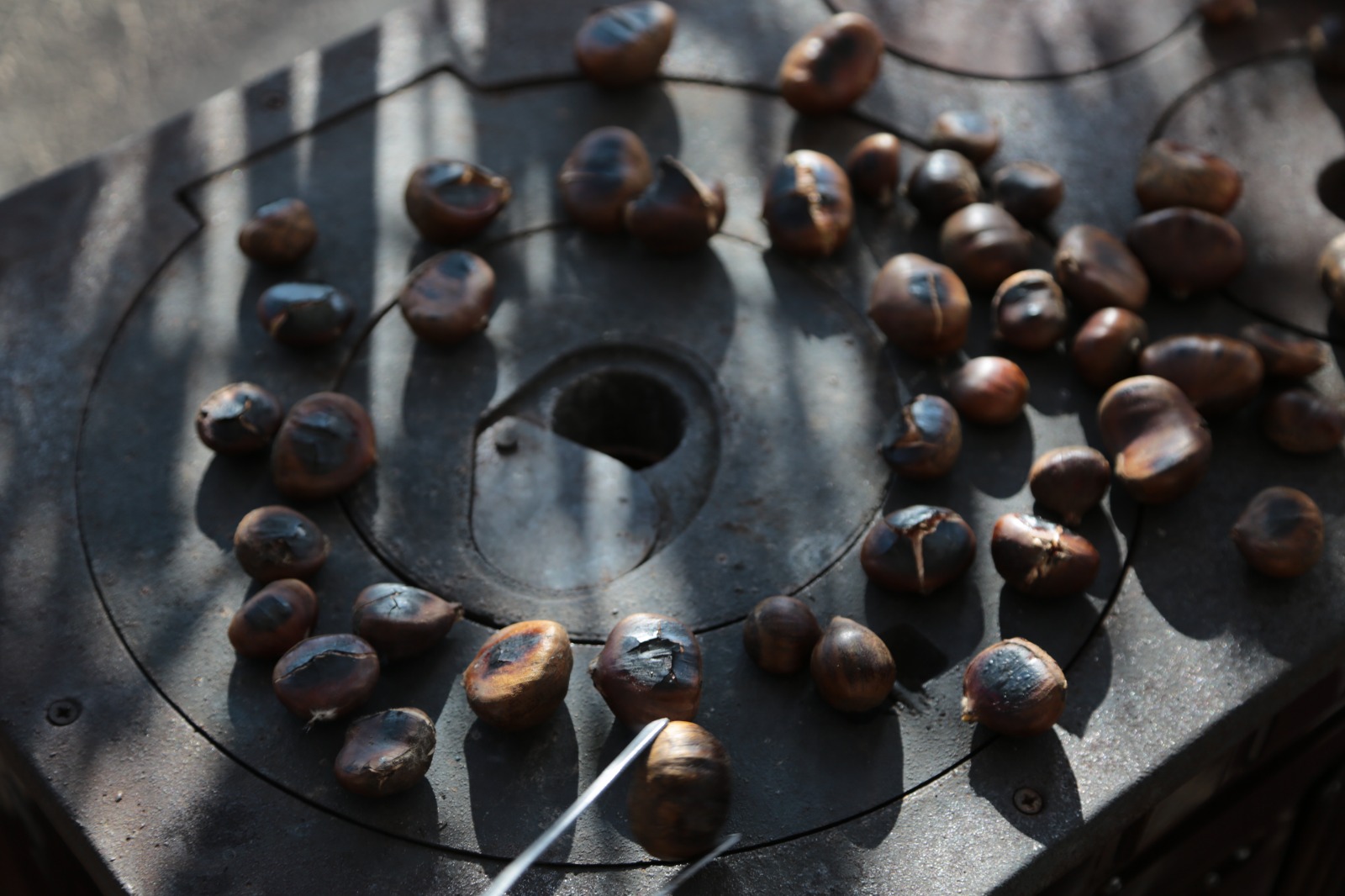 Whatsapp Image 2025 12 14 At 00.29.52