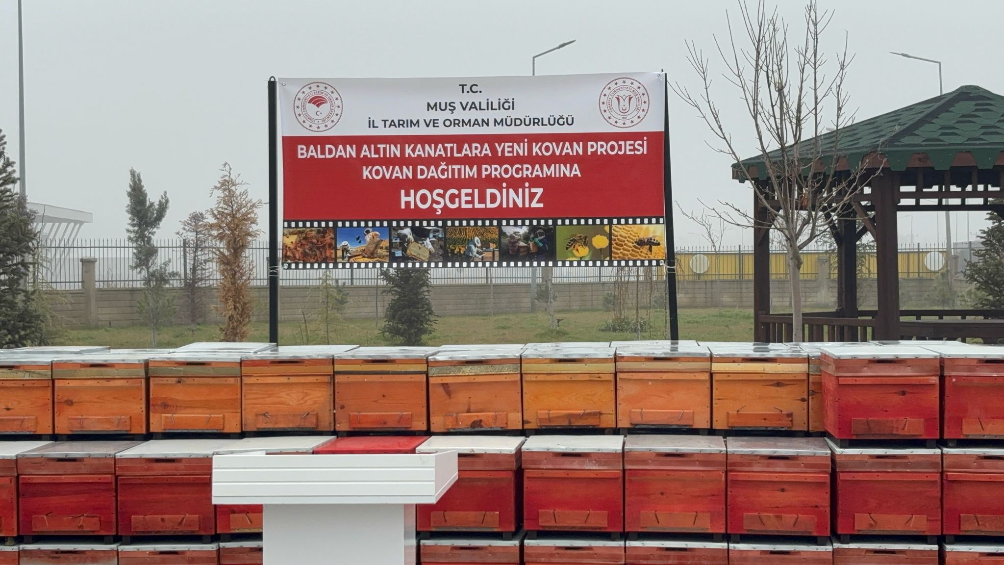 Whatsapp Image 2025 12 16 At 10.36.45 (1)