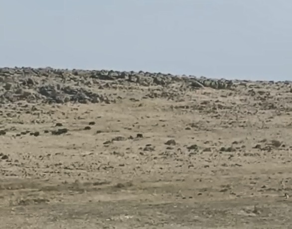 Whatsapp Image 2025 12 17 At 14.58.31