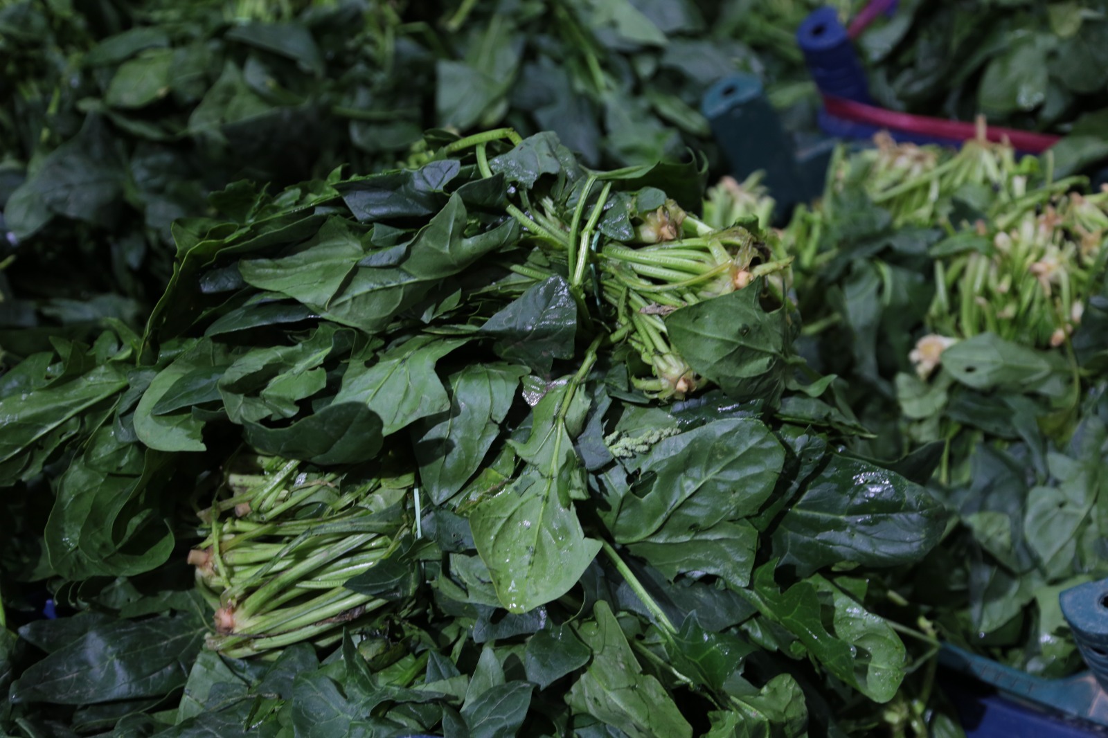 Whatsapp Image 2025 12 20 At 14.13.22 (2)