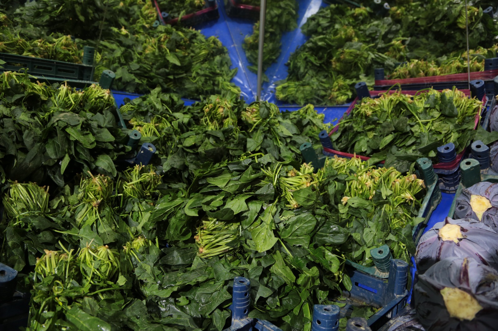 Whatsapp Image 2025 12 20 At 14.13.23