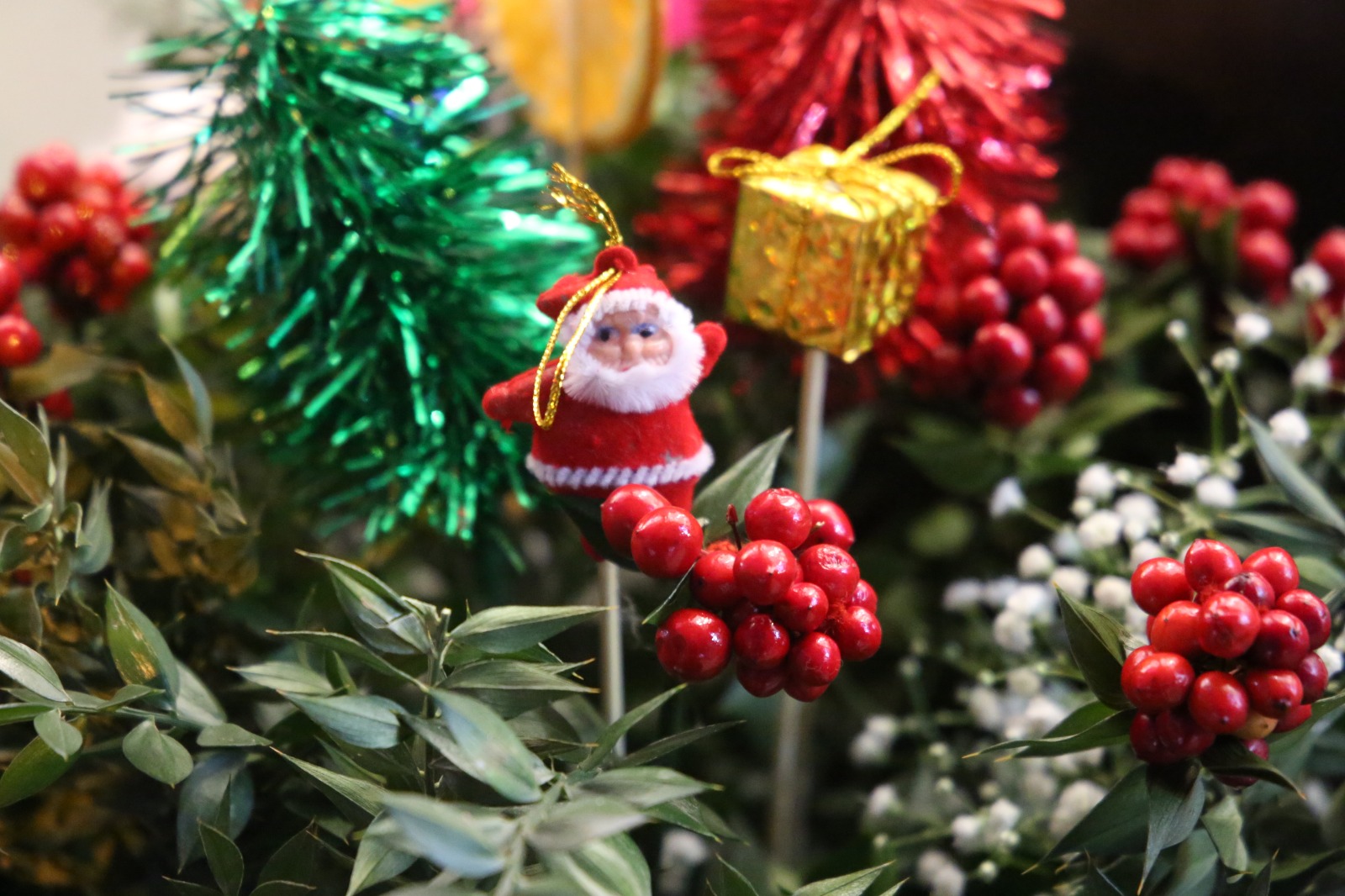 Whatsapp Image 2025 12 20 At 18.49.24 (7)