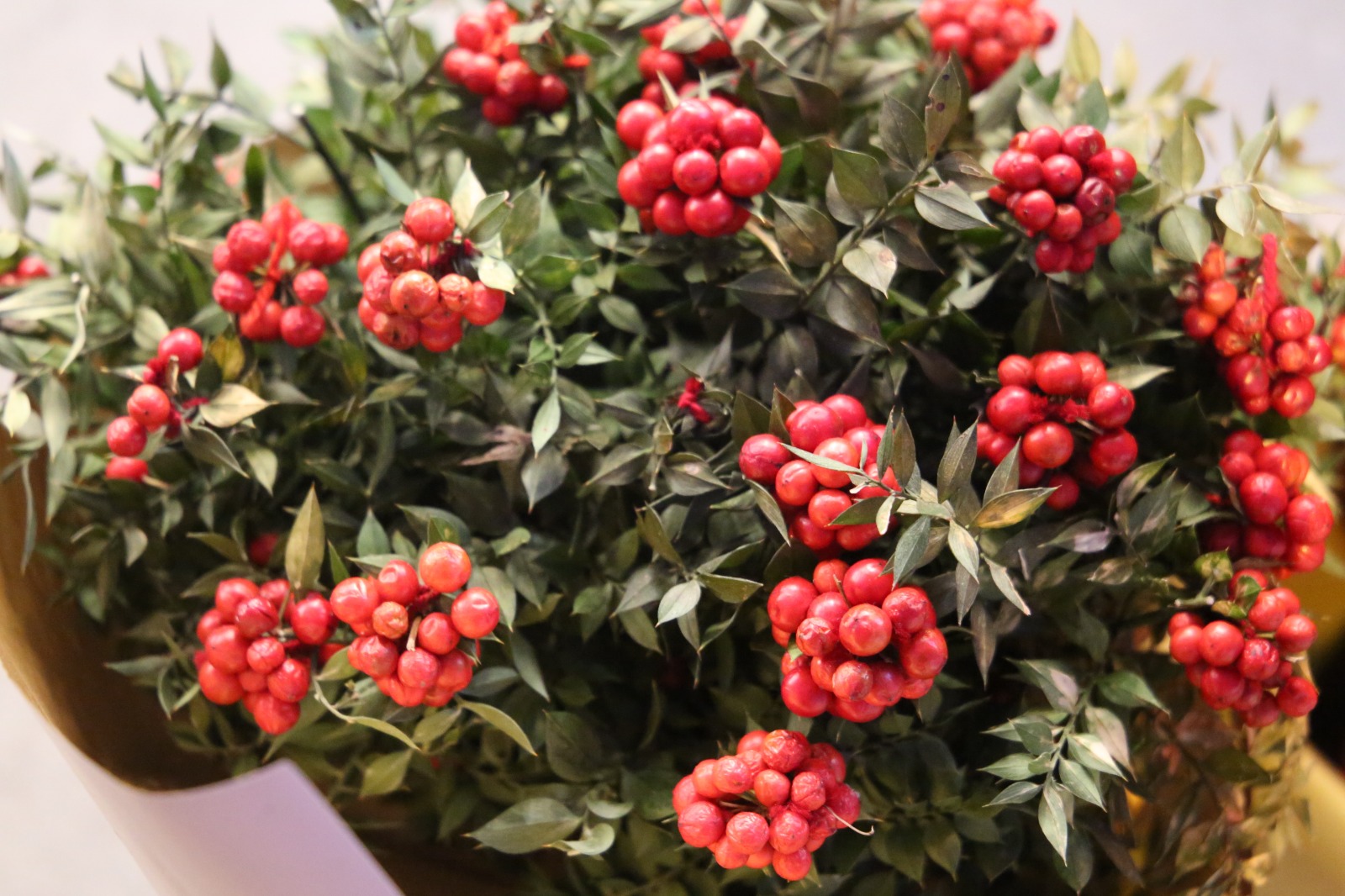 Whatsapp Image 2025 12 20 At 18.49.24 (8)