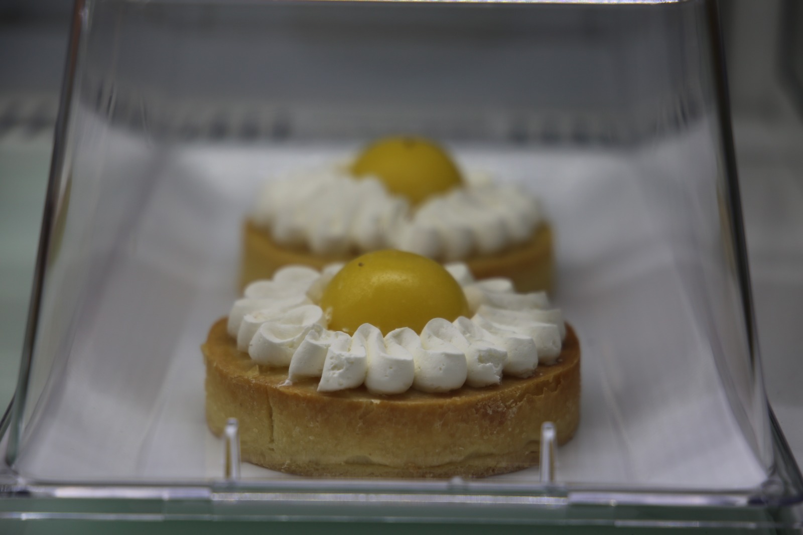 Whatsapp Image 2025 12 20 At 19.02.34 (2)